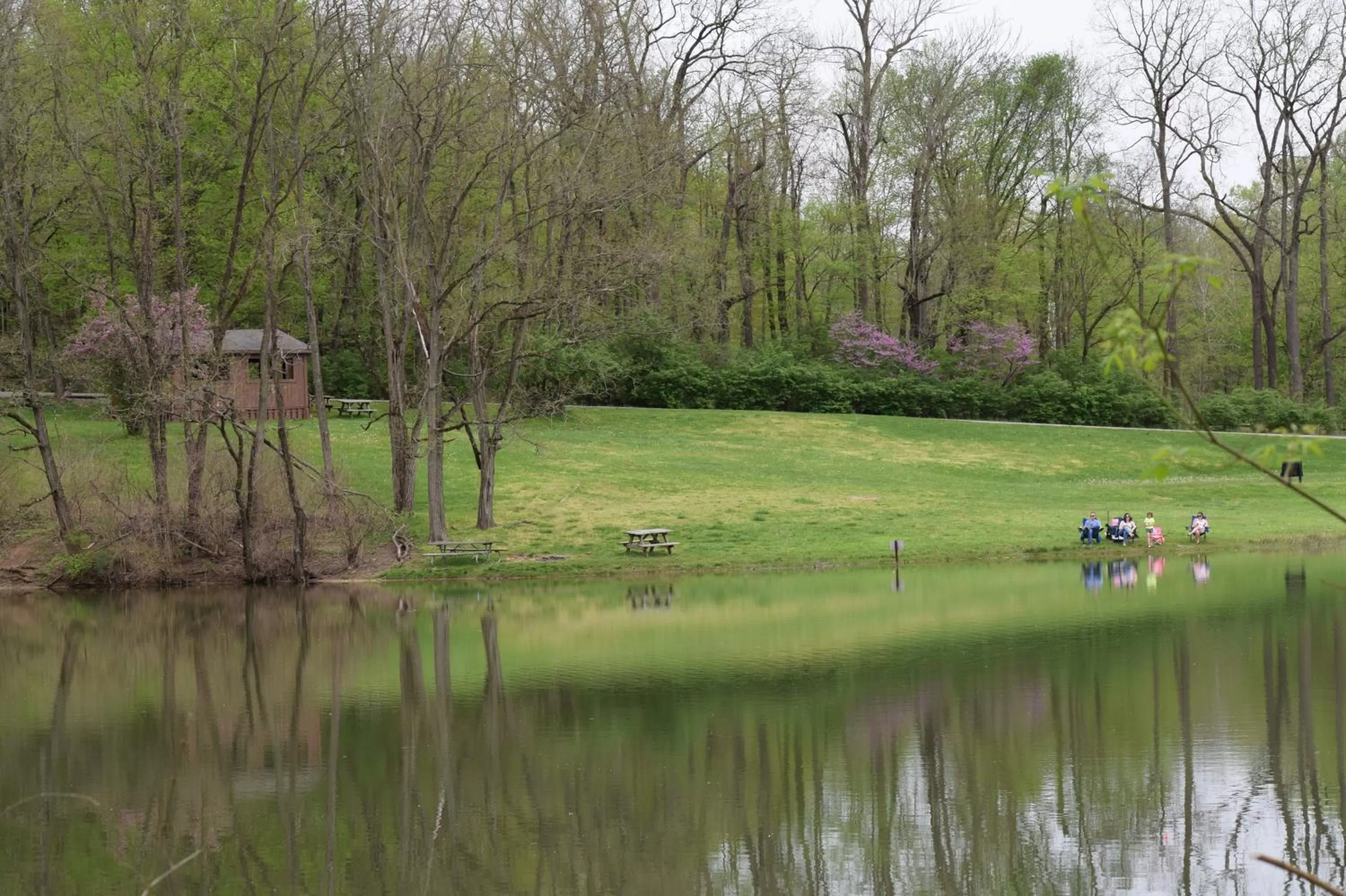 Natural landscape in Fort Harrison State Park Inn