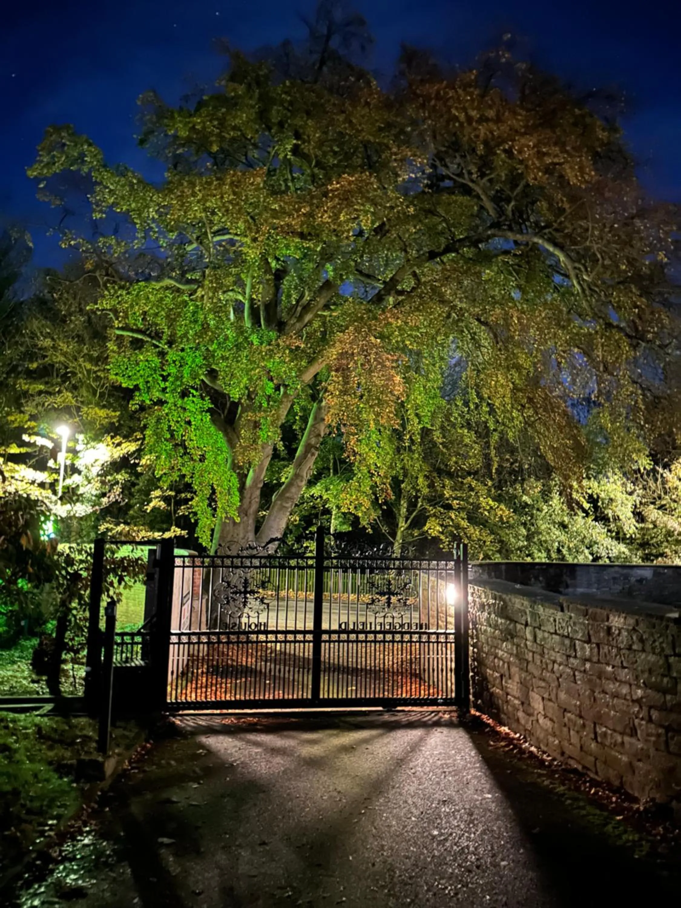 Garden in Hedgefield House