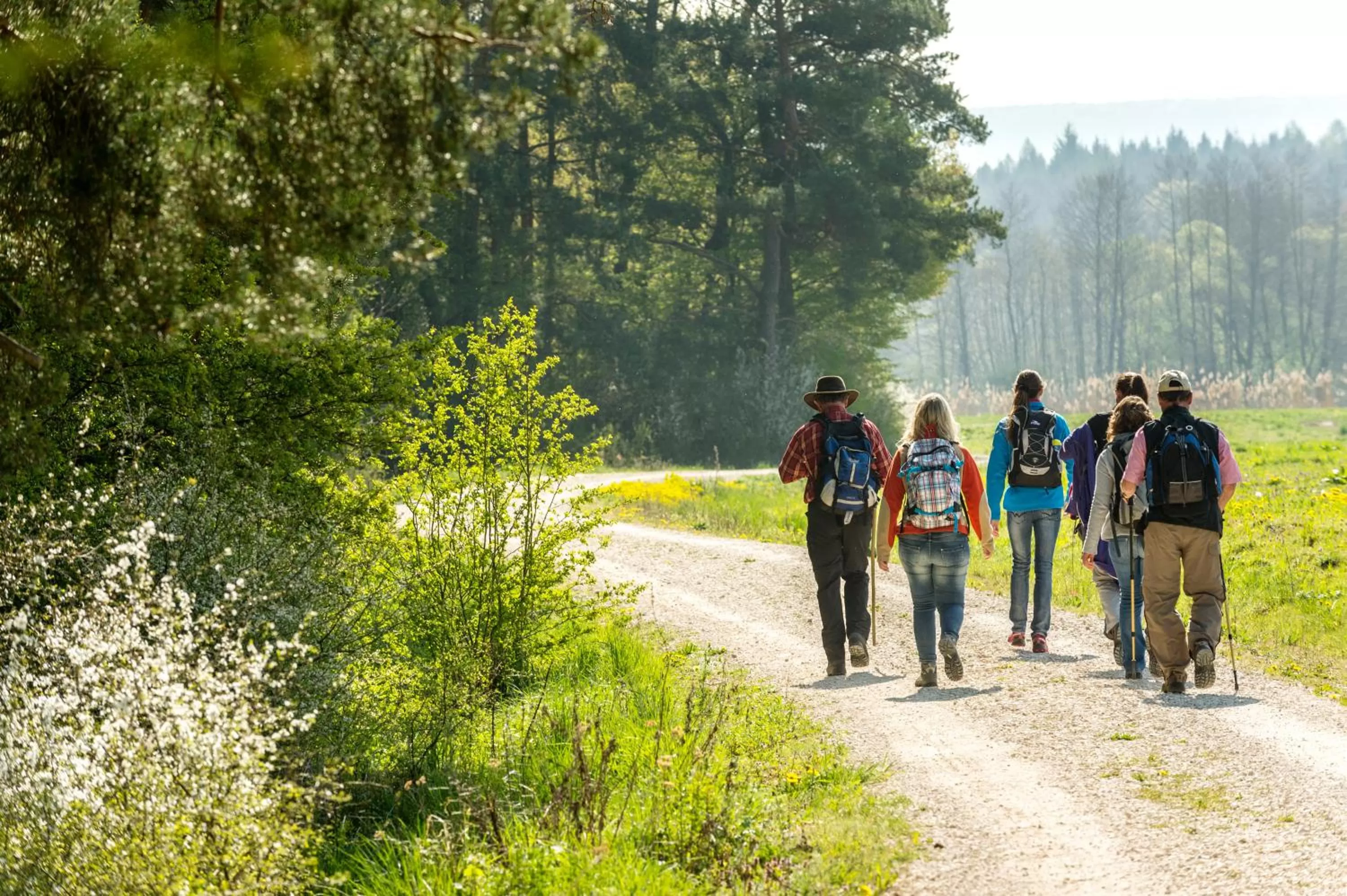 Hiking in Hotel Brauerei Gasthof Höhn