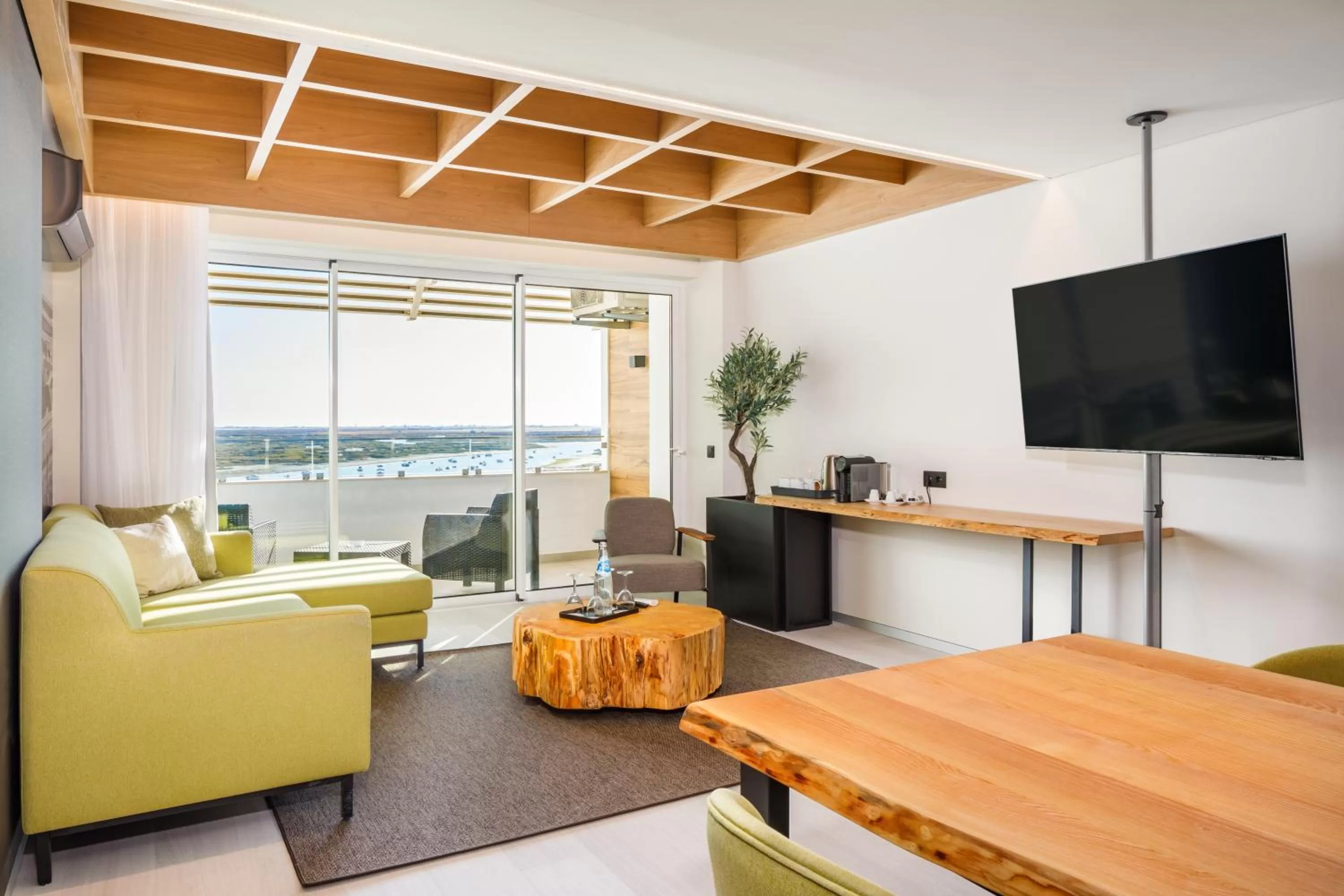 Living room in AP Eva Senses