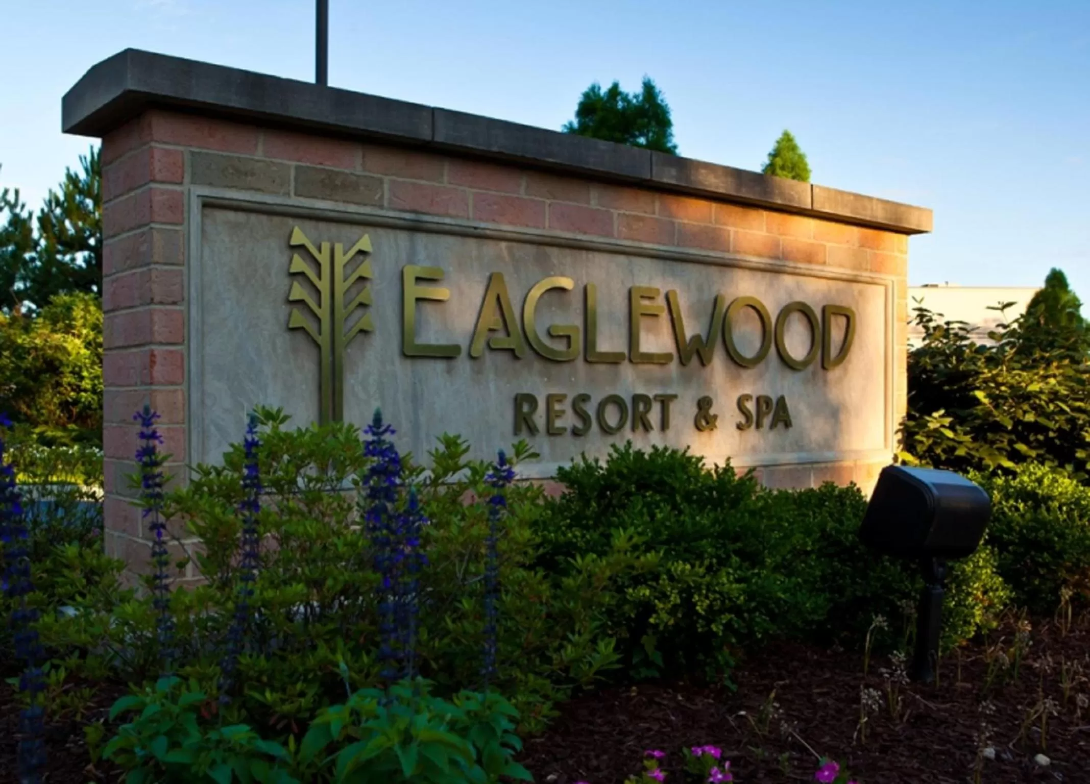 Day in Eaglewood Resort & Spa