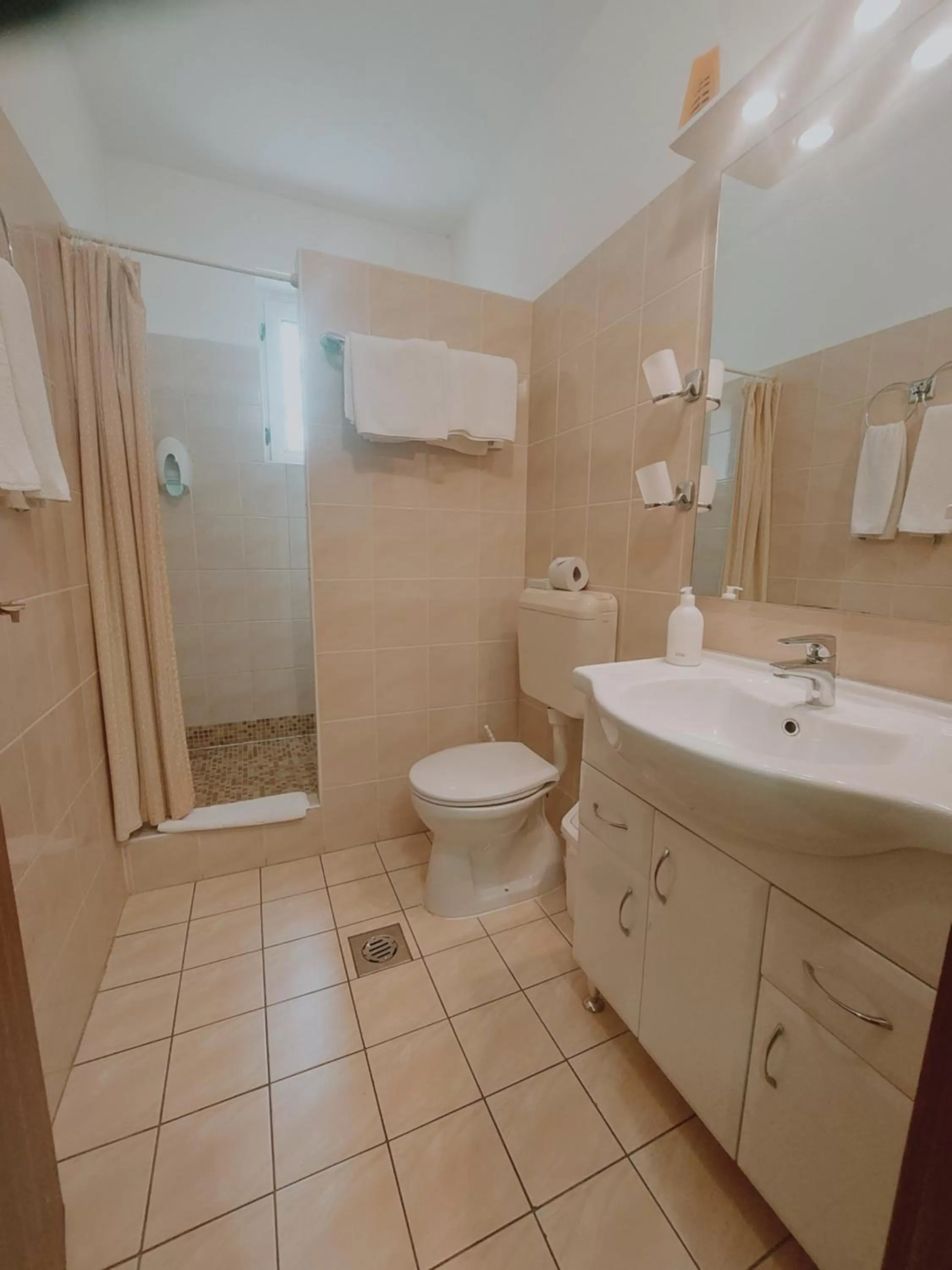 Bathroom in Hotel Panorama