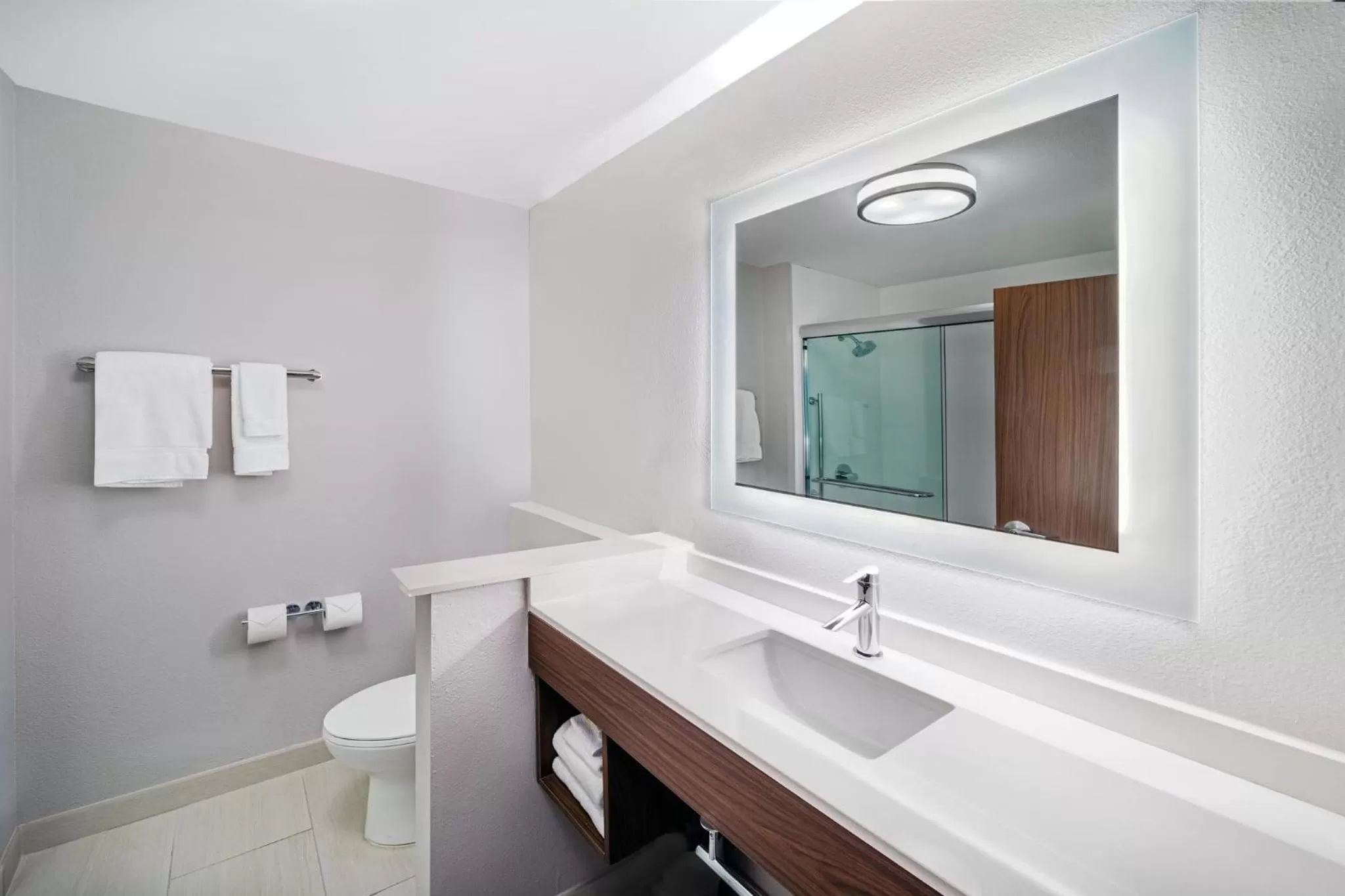 Bathroom in Holiday Inn Express & Suites - Houston - Downtown North by IHG