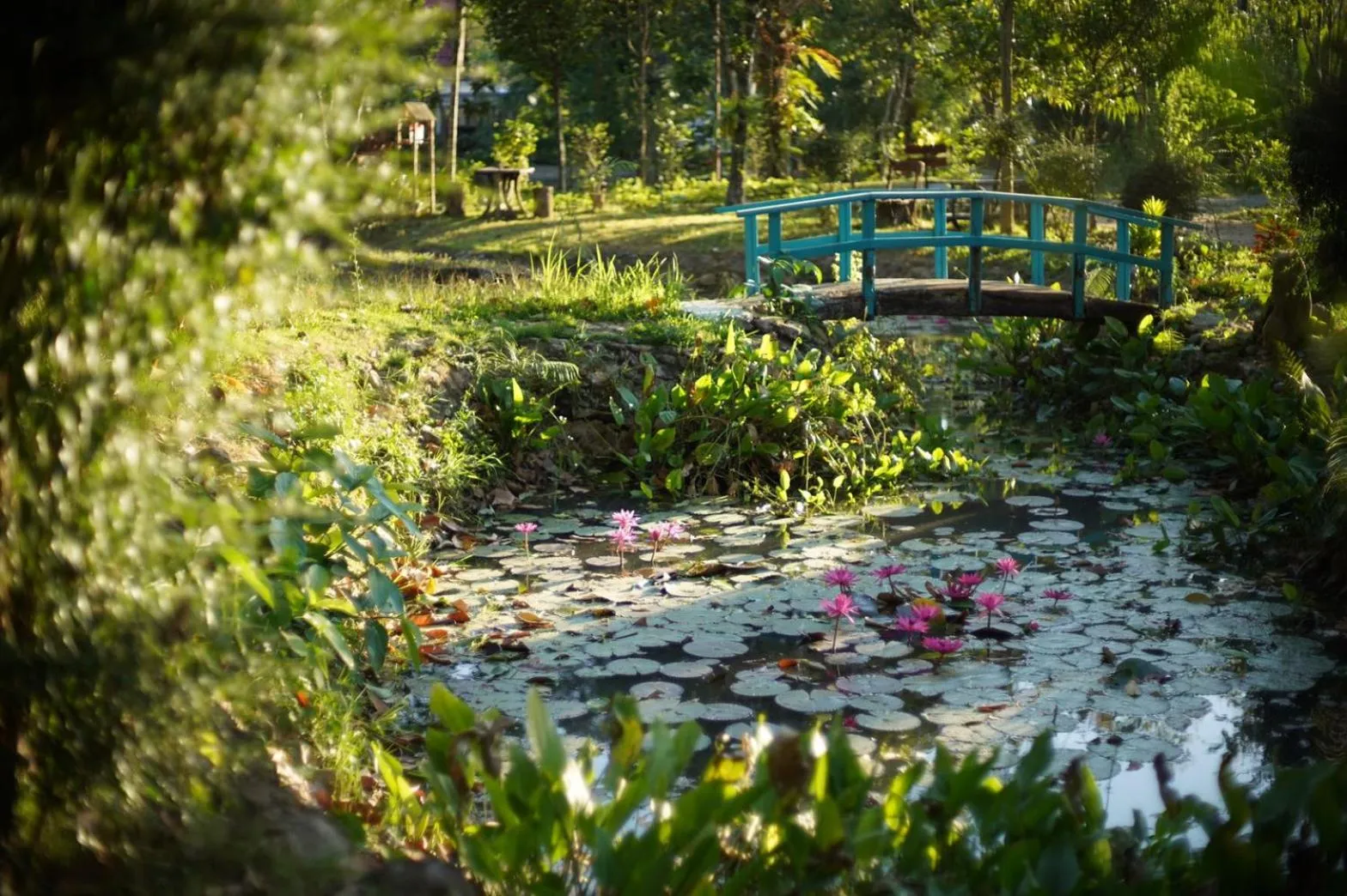 Natural landscape in Villa Panalai