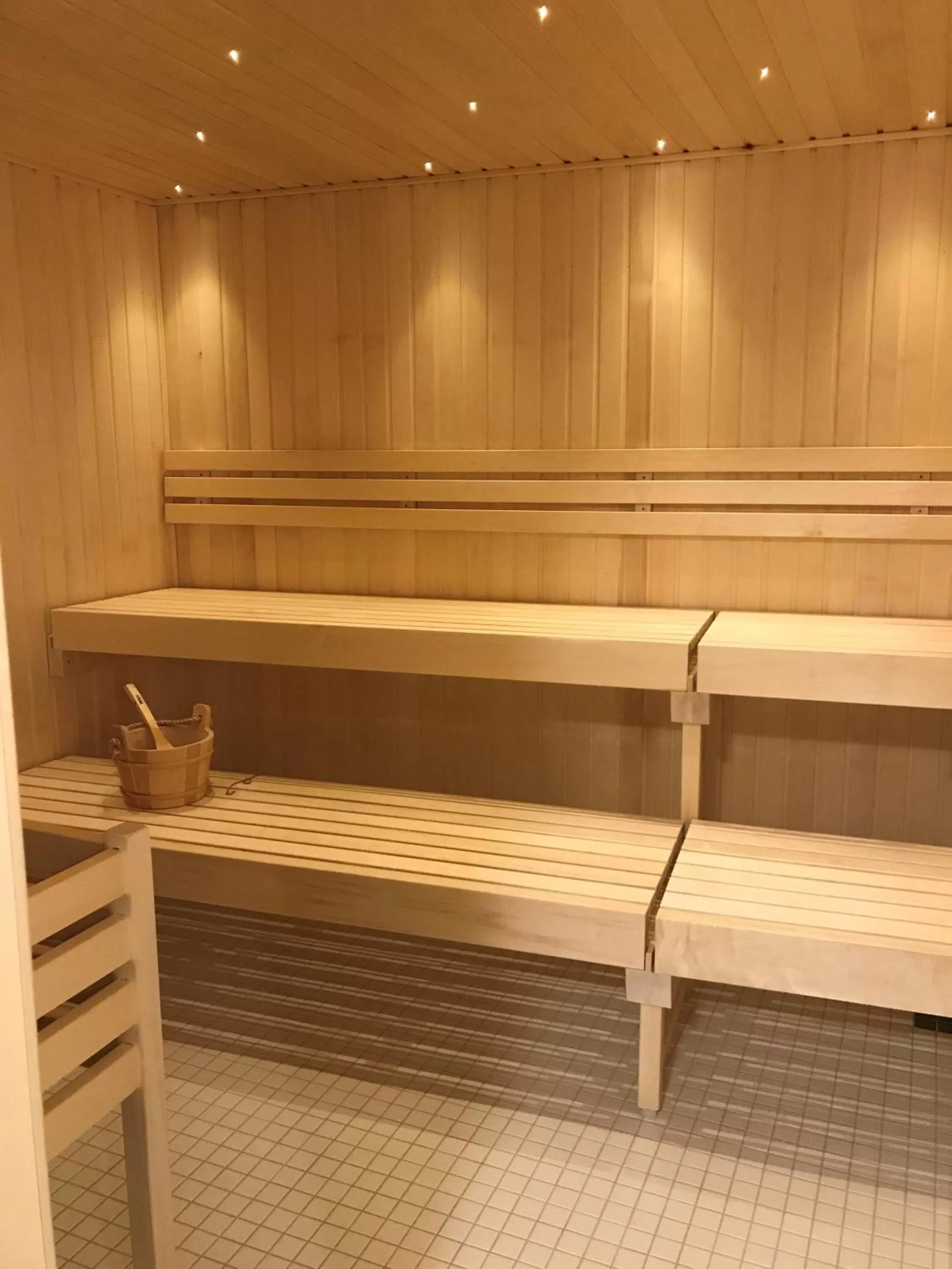 Sauna in Hotel Randers