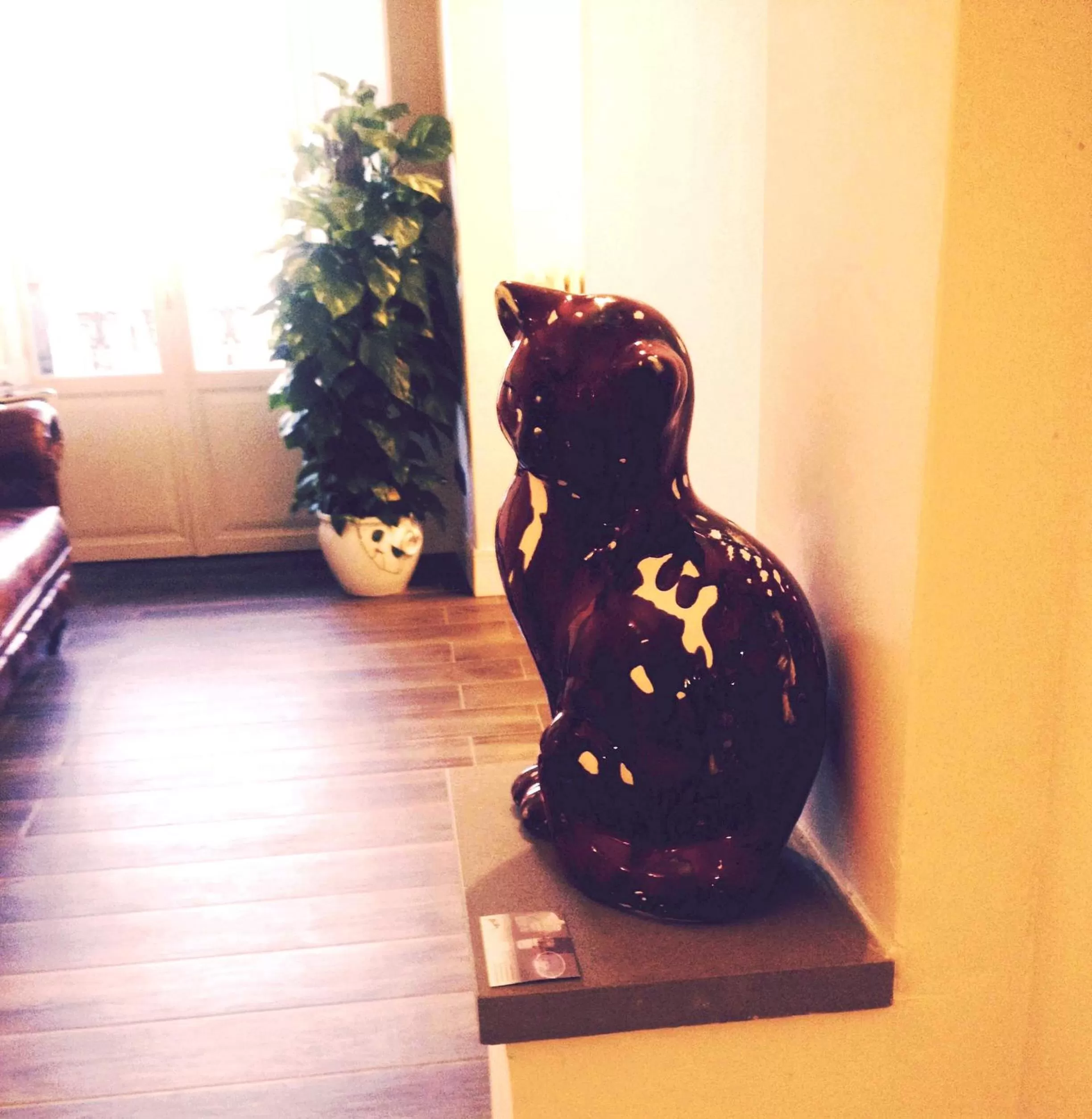 Pets in Tornabuoni View