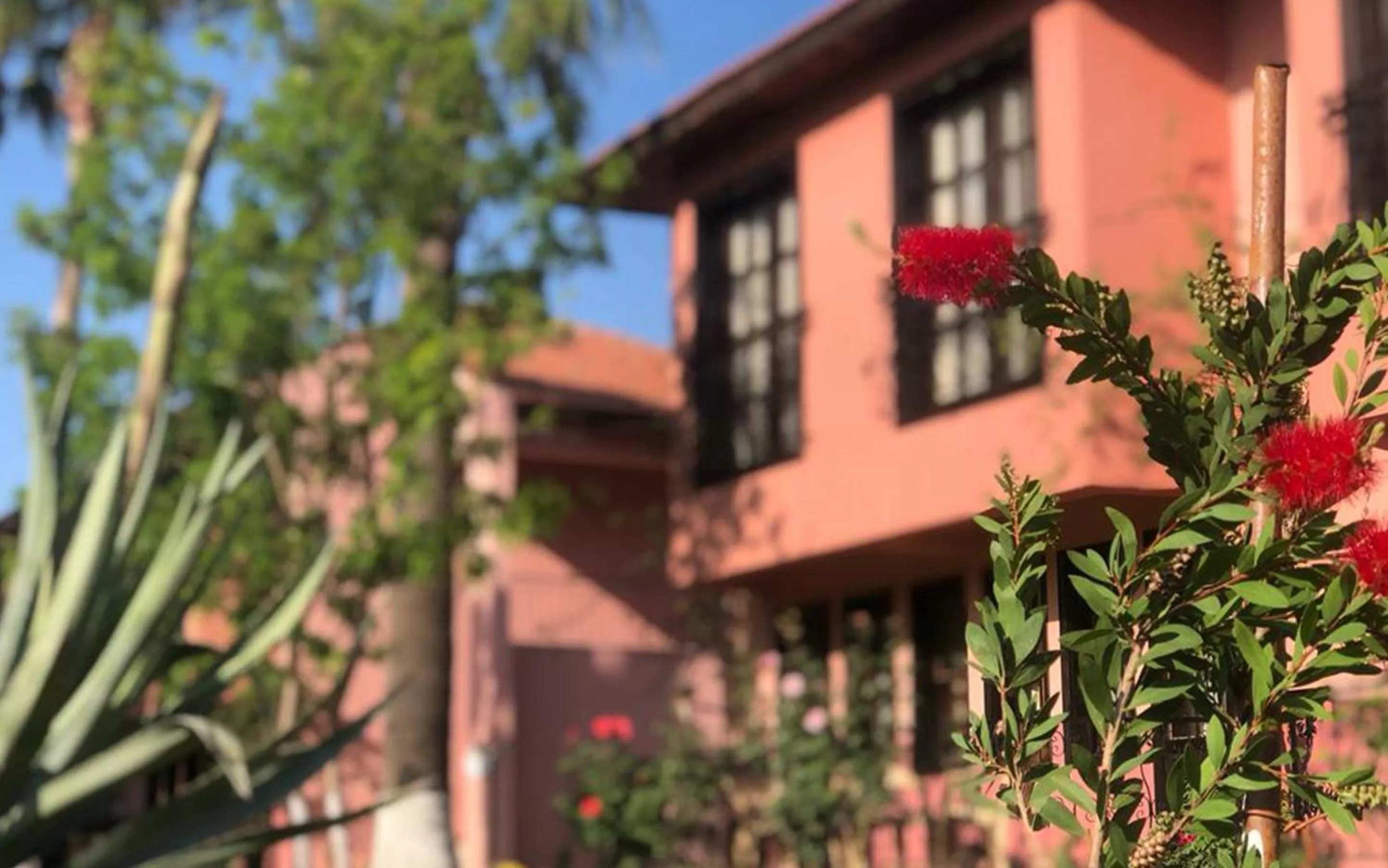 Garden in Hotel Palme Dalyan