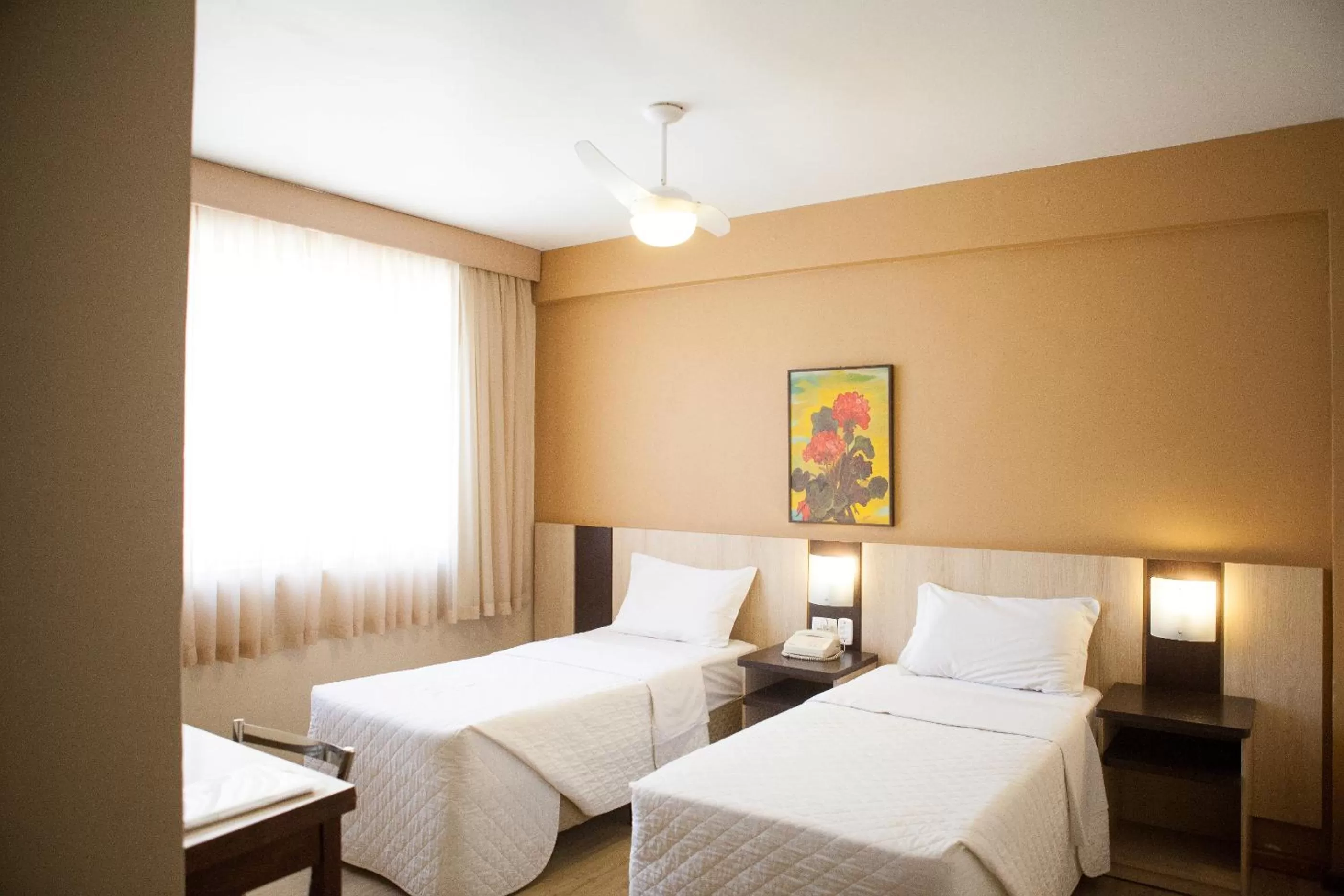 Photo of the whole room in Hotel Palmeiras