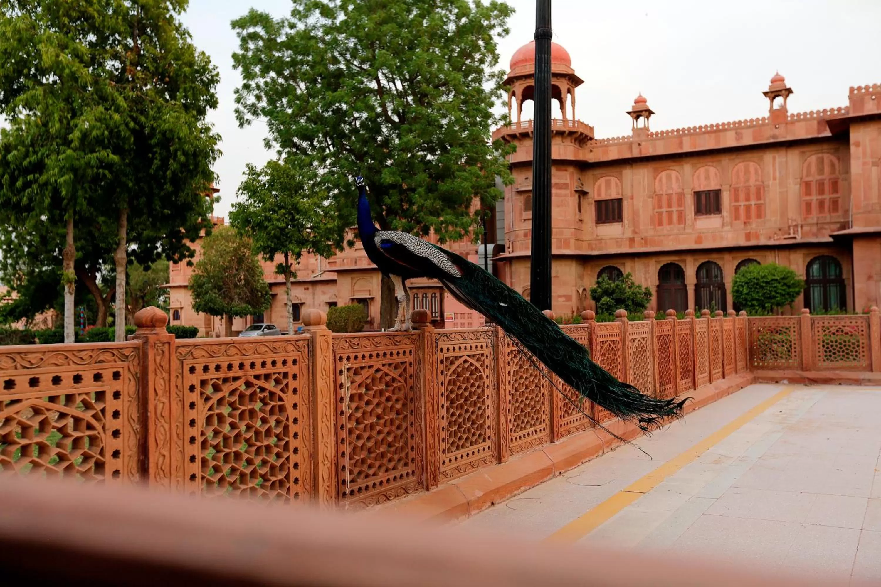 Garden in The Lallgarh Palace - A Heritage Hotel