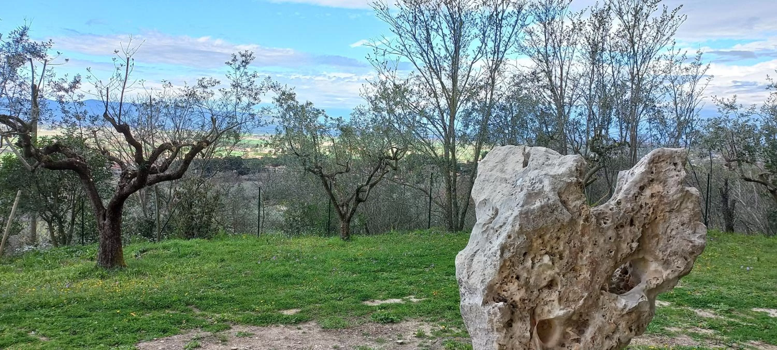 Natural Landscape in Domus Antiqua Bed & Breakfast