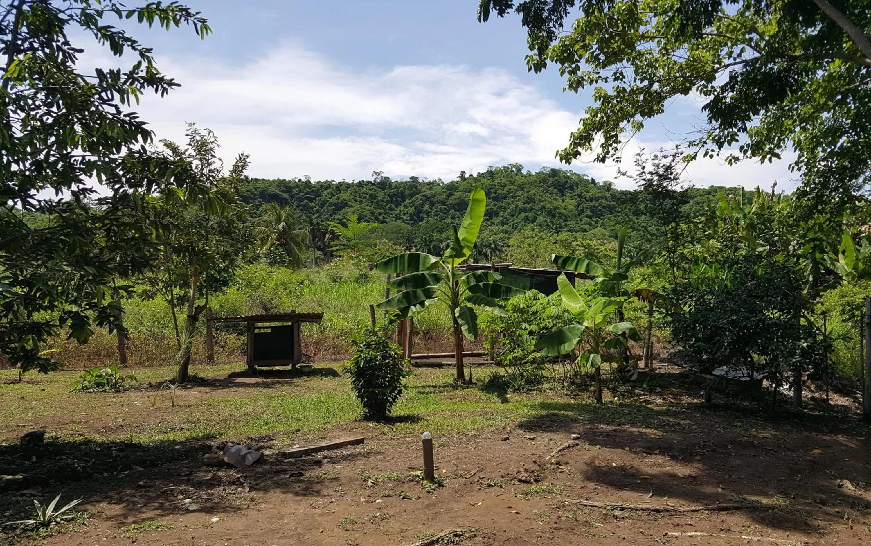 Garden in El Gecko Hotel & Tours