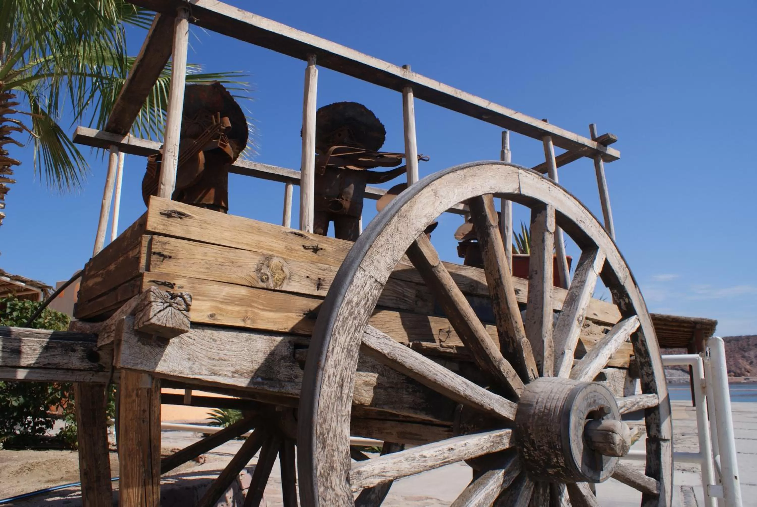 Area and facilities in Club Cantamar Beach Hotel & Marina