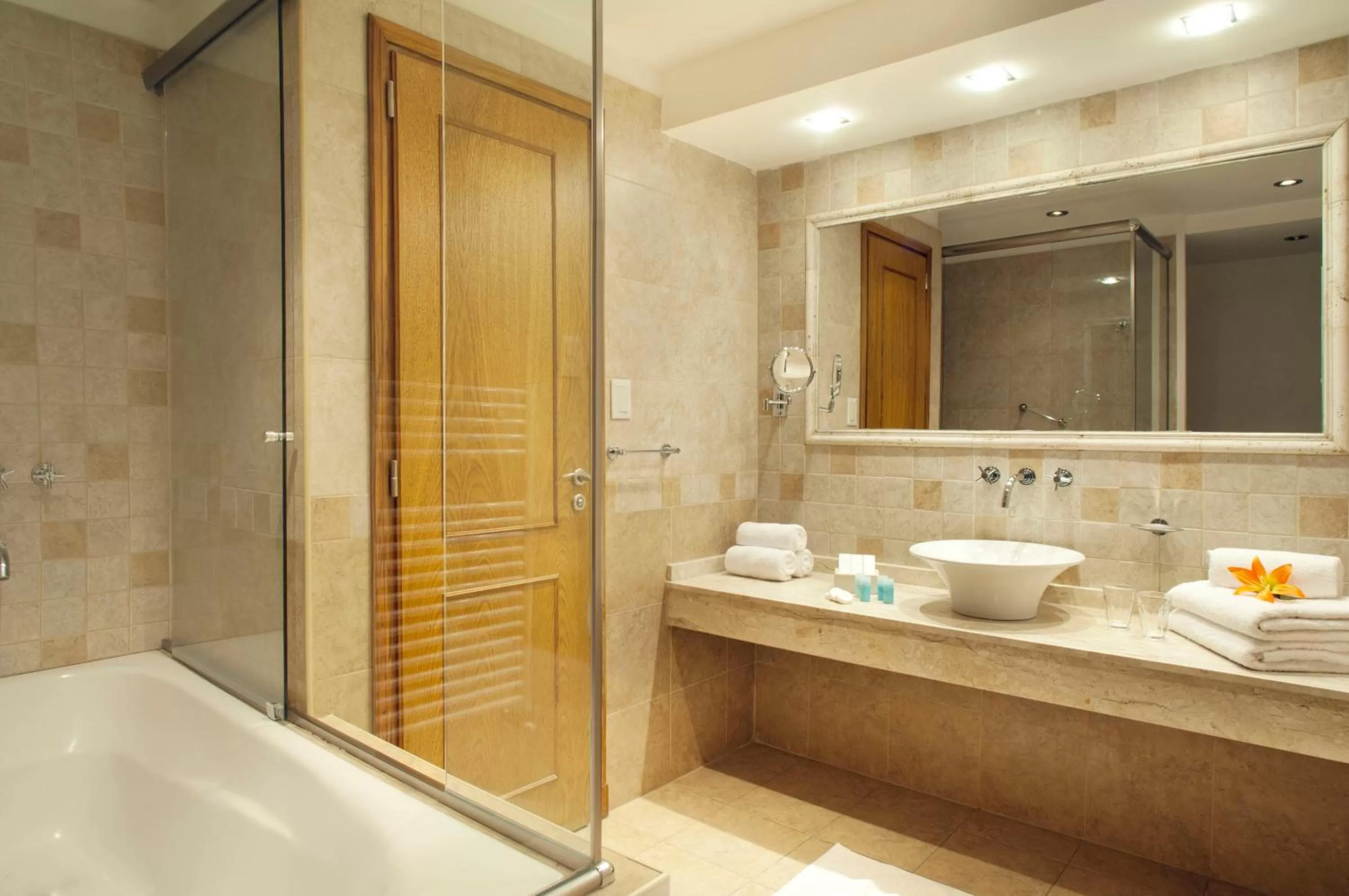 Shower in Hotel Piren