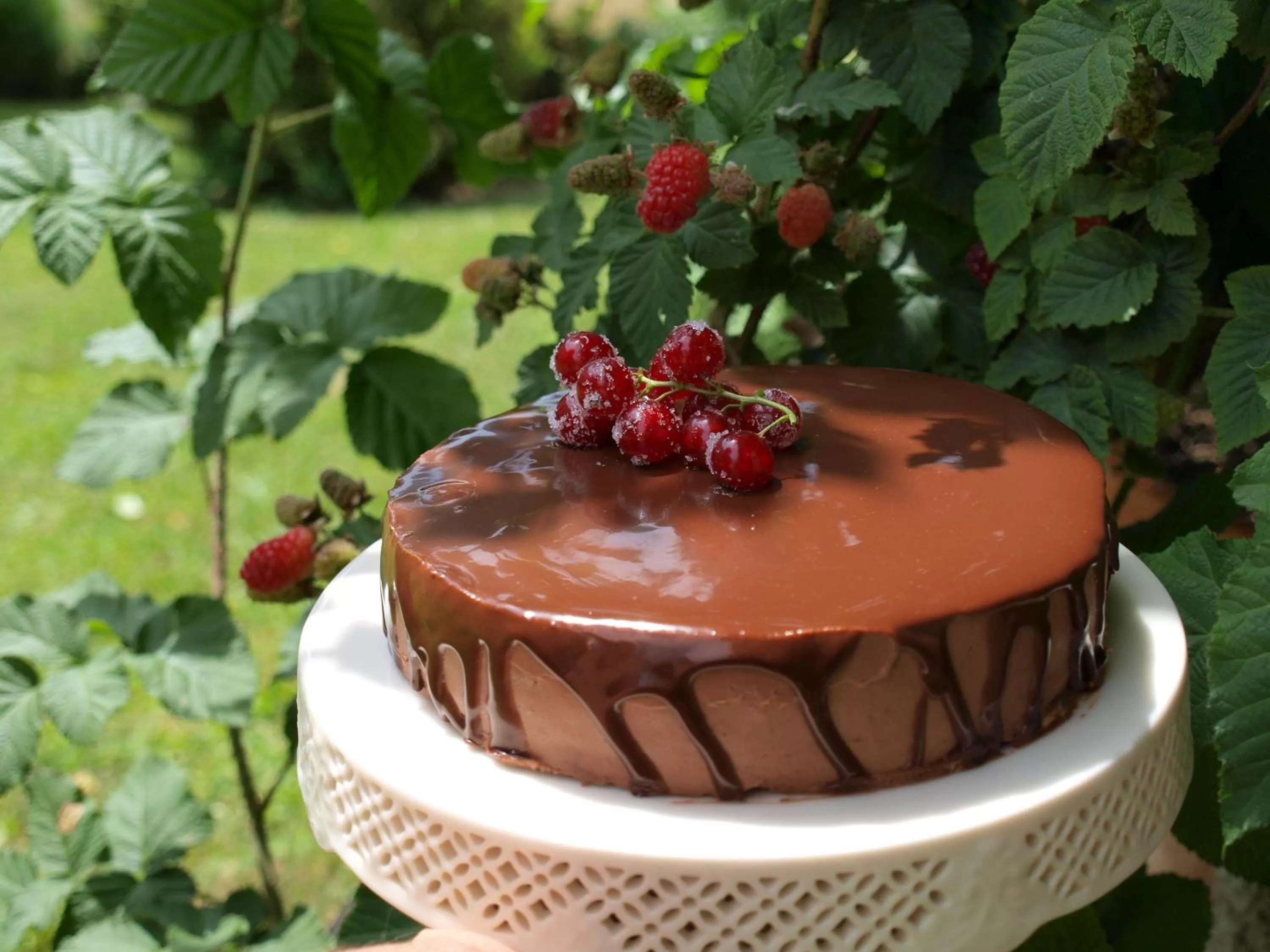Food and drinks, Patio/Outdoor Area in Mala Kmetija