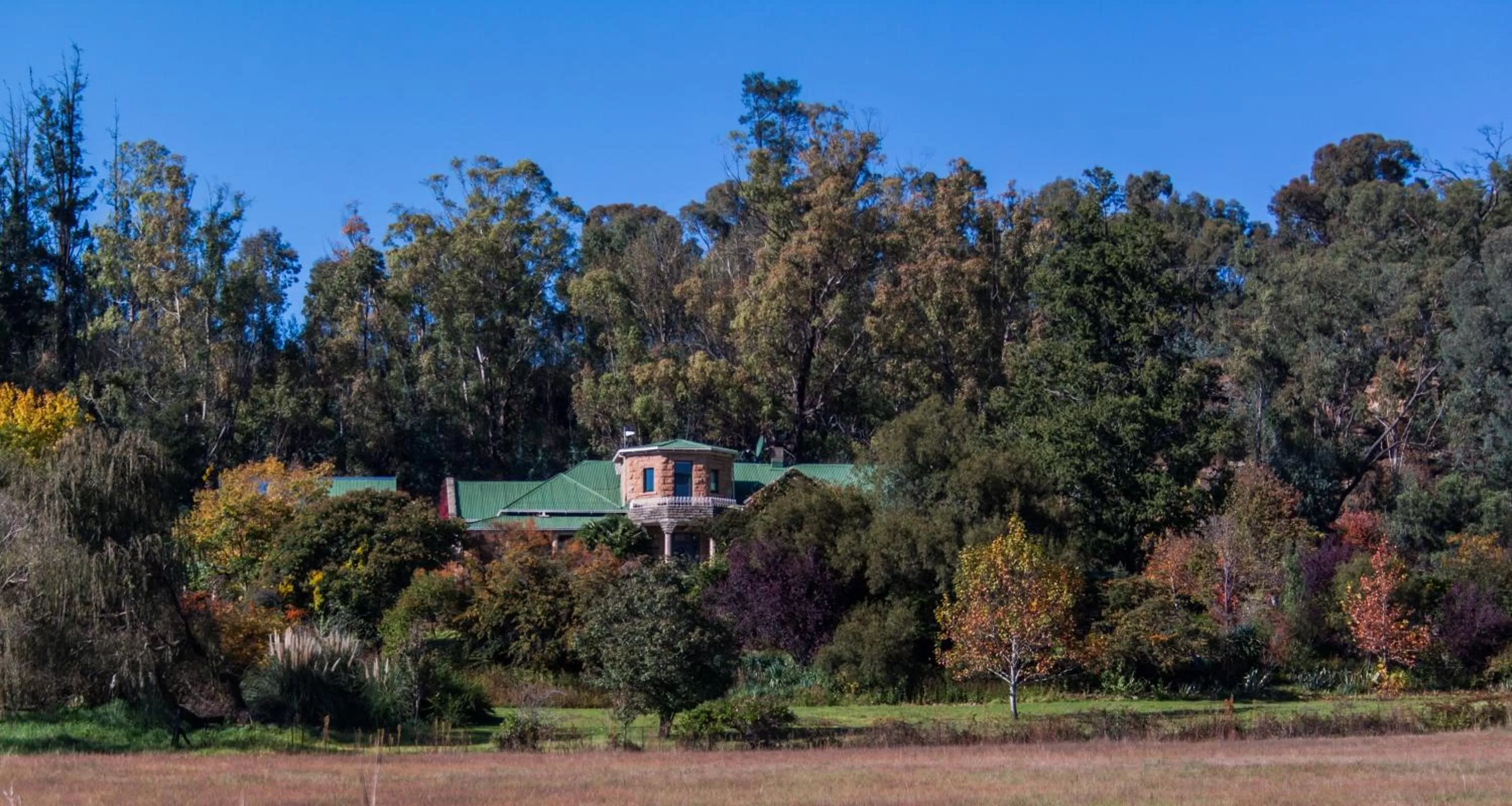 Bird's eye view, Garden in La Motte B&B