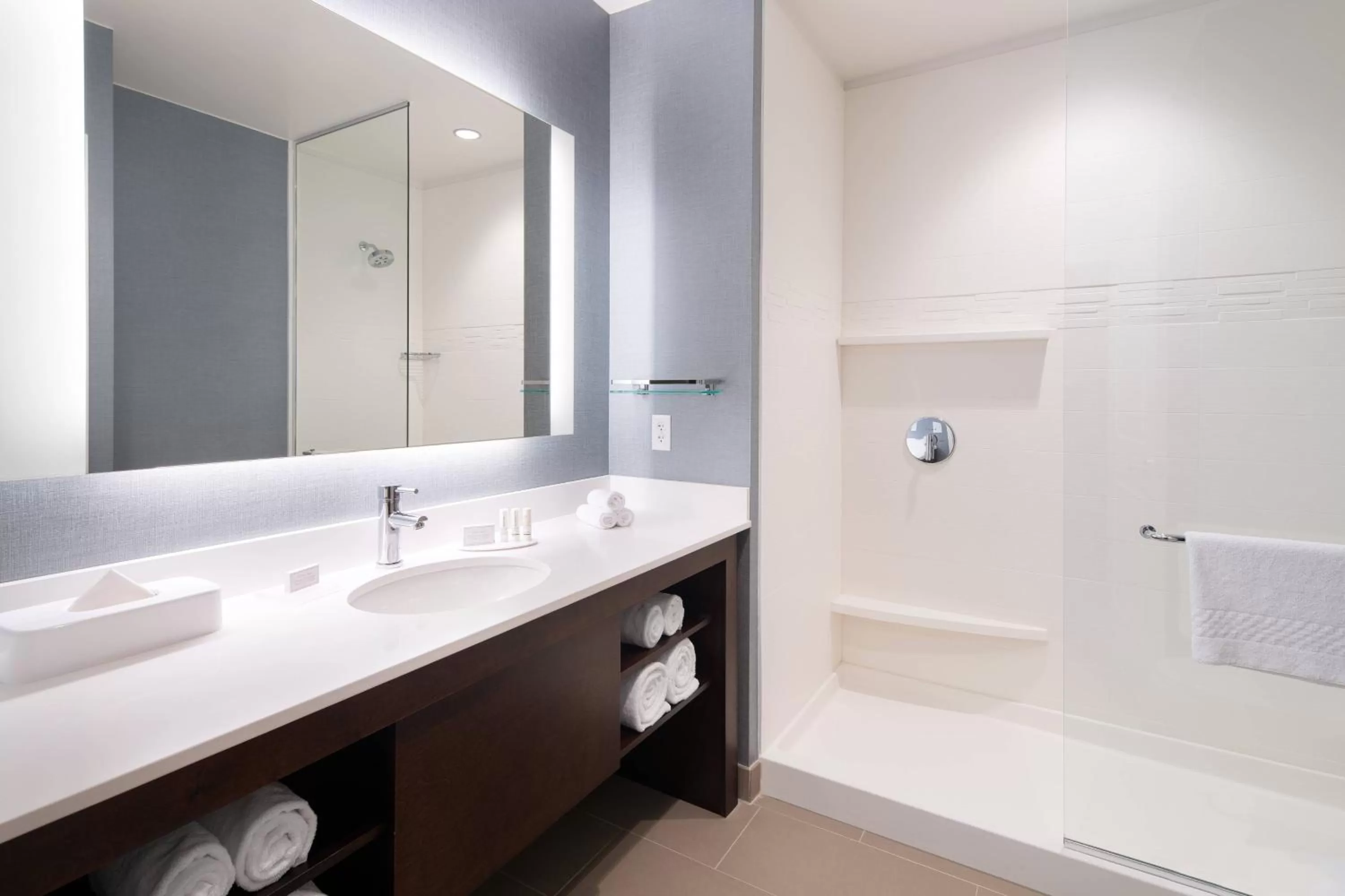 Bathroom in Residence Inn by Marriott Chicago Downtown/Loop
