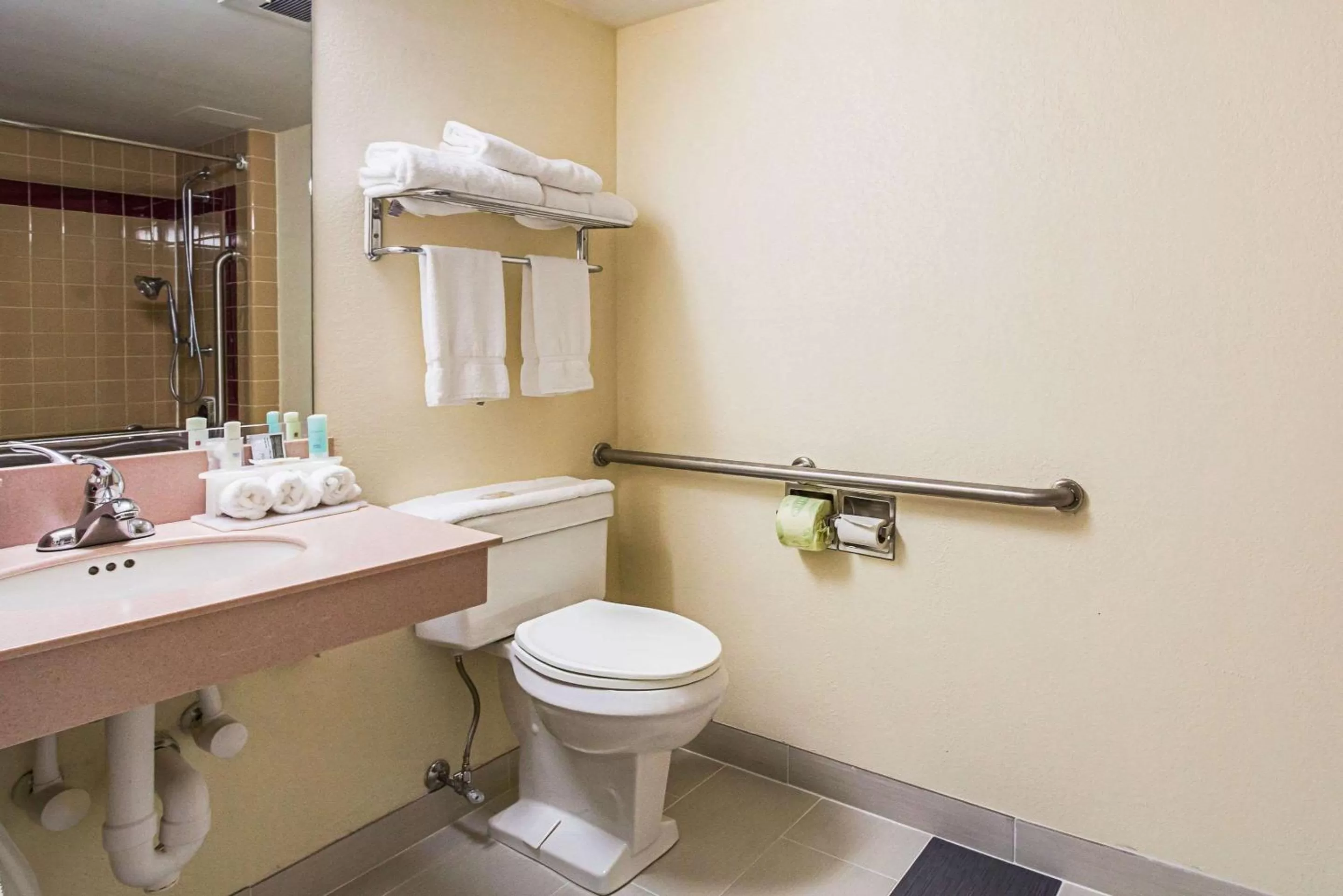 King Room - Disability Access/Non-Smoking in Quality Inn & Suites Altoona