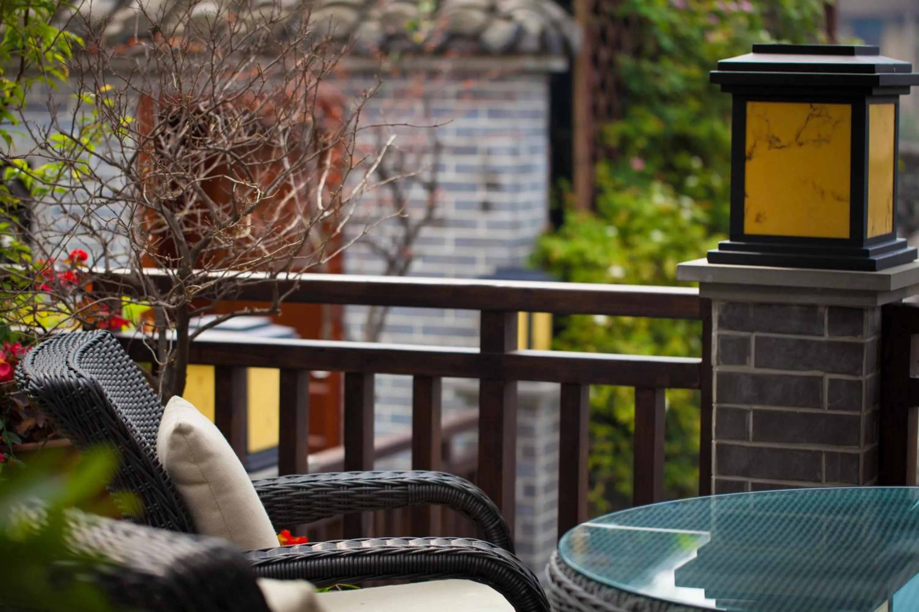 Garden in Buddha Zen Hotel