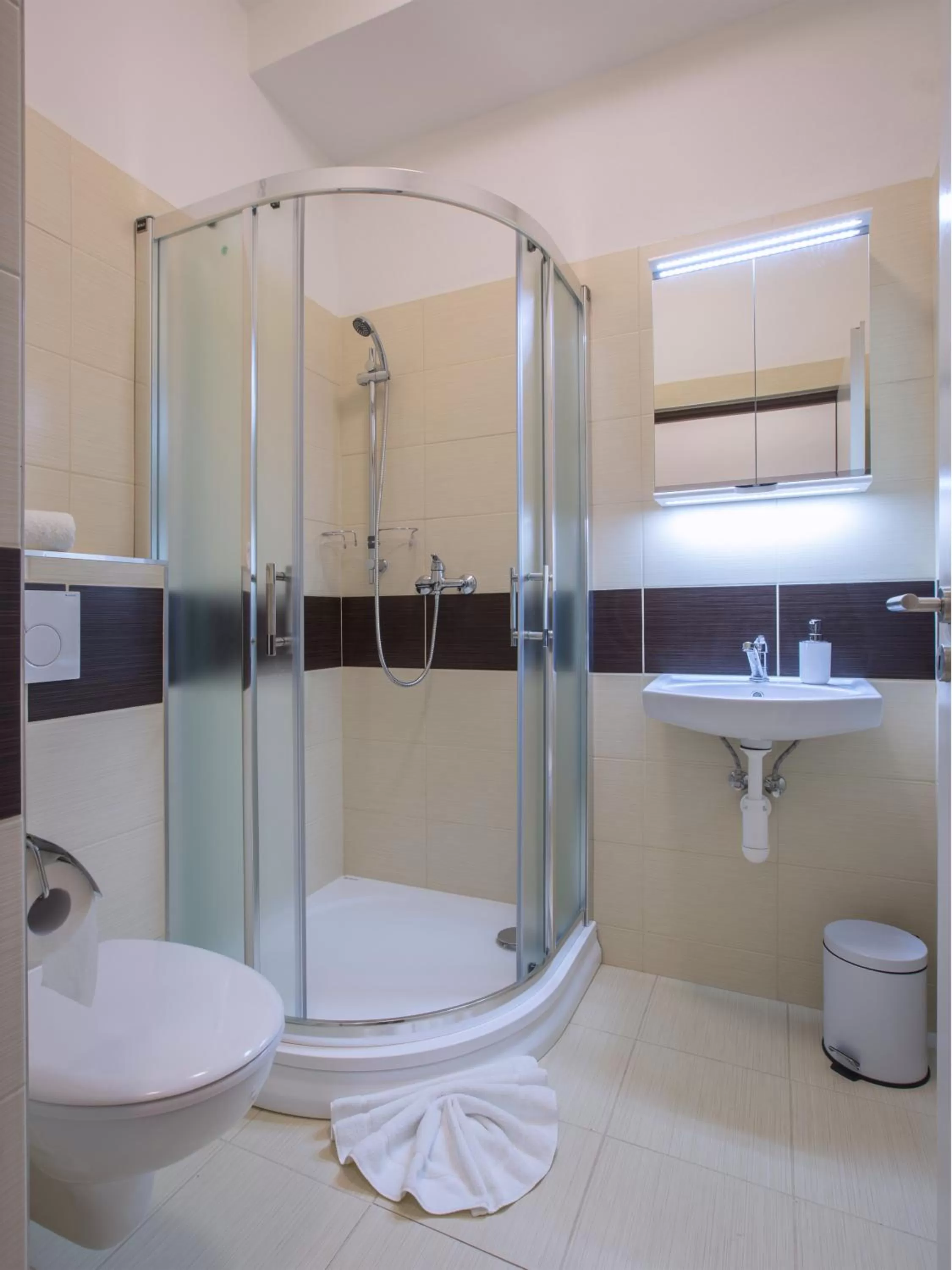 Shower, Bathroom in Agro Complex Apartments