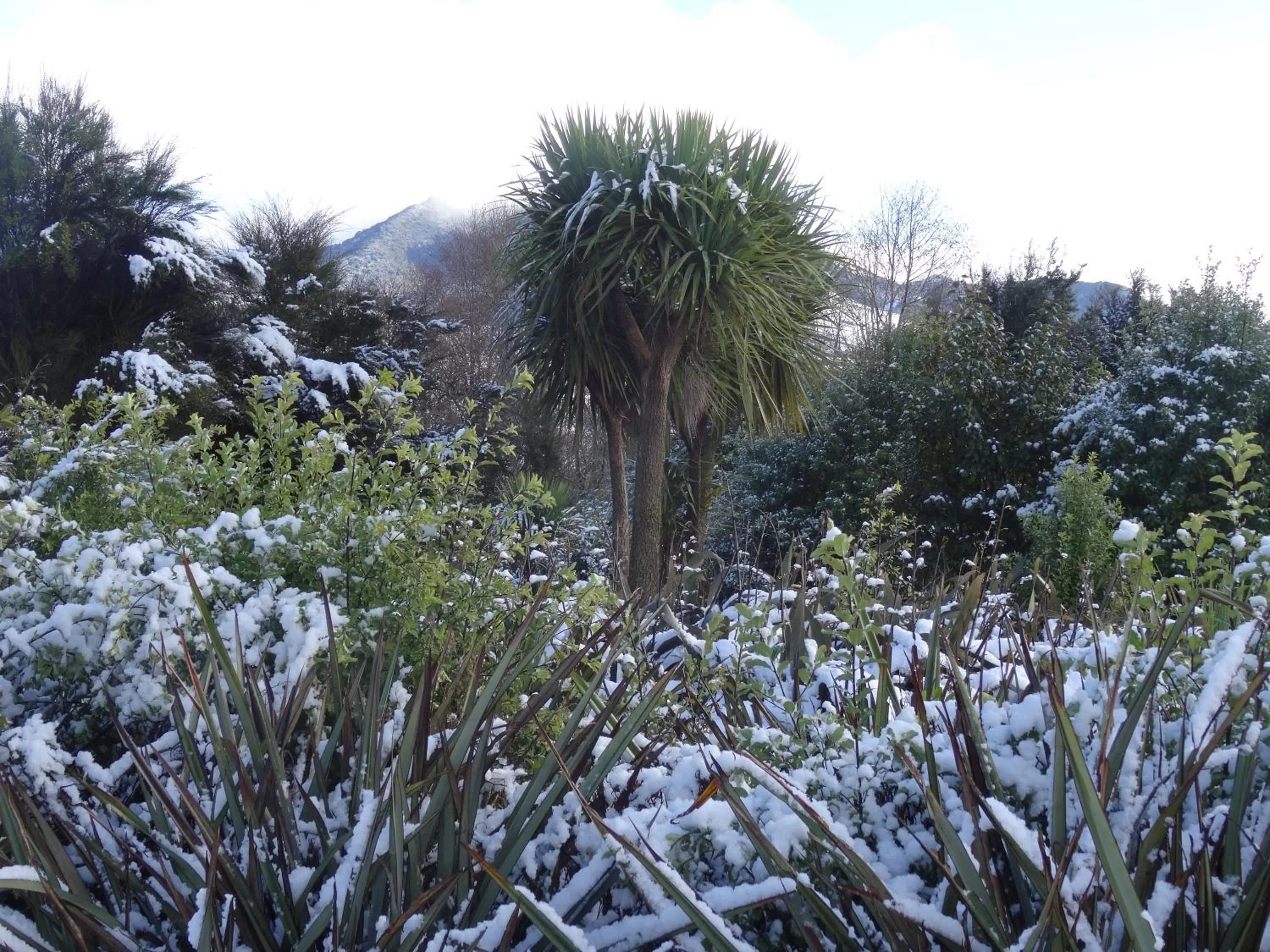Garden in Hokonui Bed & Breakfast