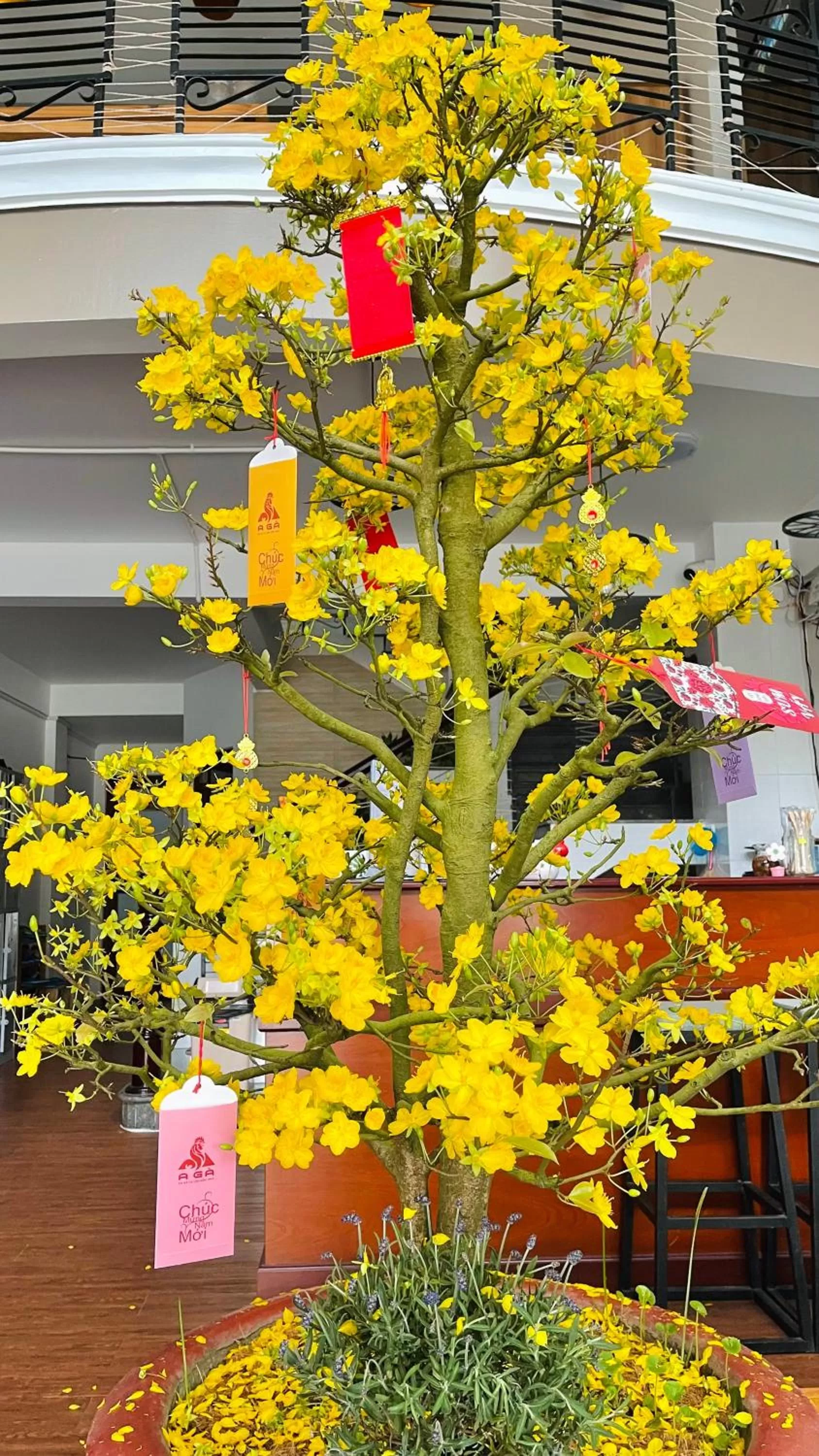 Lobby or reception in STAY hostel 2 - 350m from the ferry