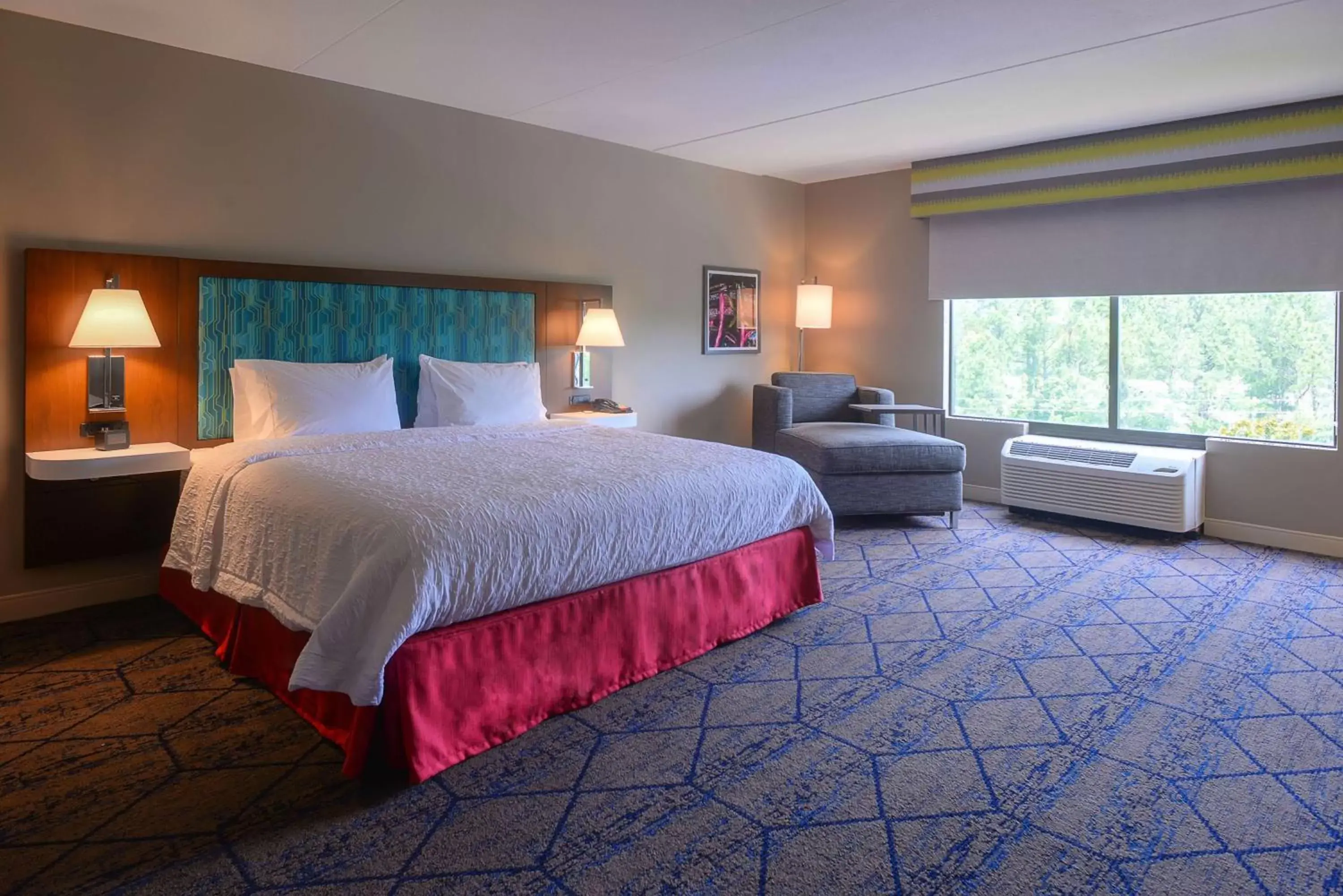 King Room with Roll-In Shower - Disability Access in Hampton Inn & Suites Atlanta-Six Flags King Room with Roll-In Shower - Disability Access in Hampton Inn & Suites Atlanta-Six Flags