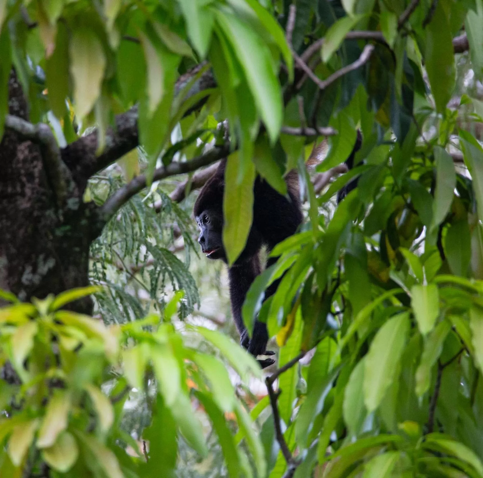 Natural landscape in Hotel Diriá Santa Cruz