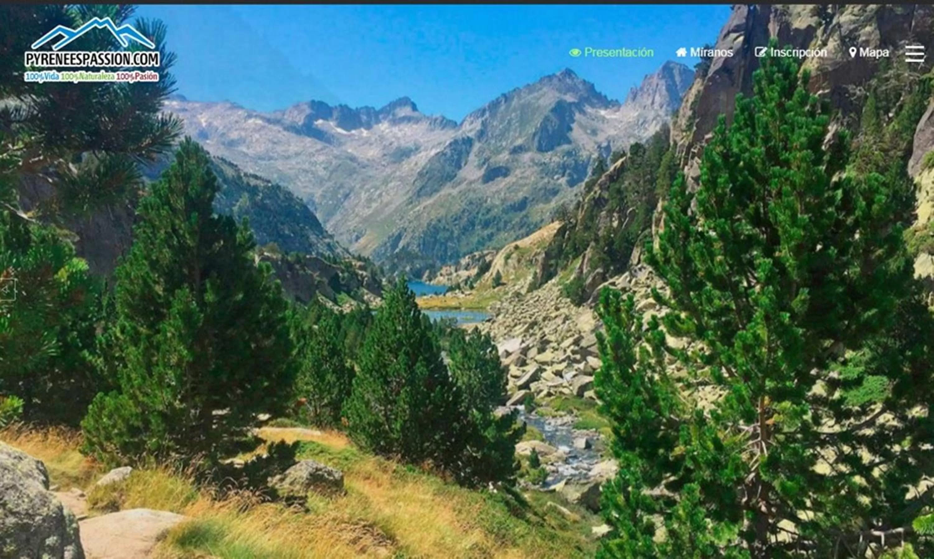 Activities in Hotel Restaurant Les Brases