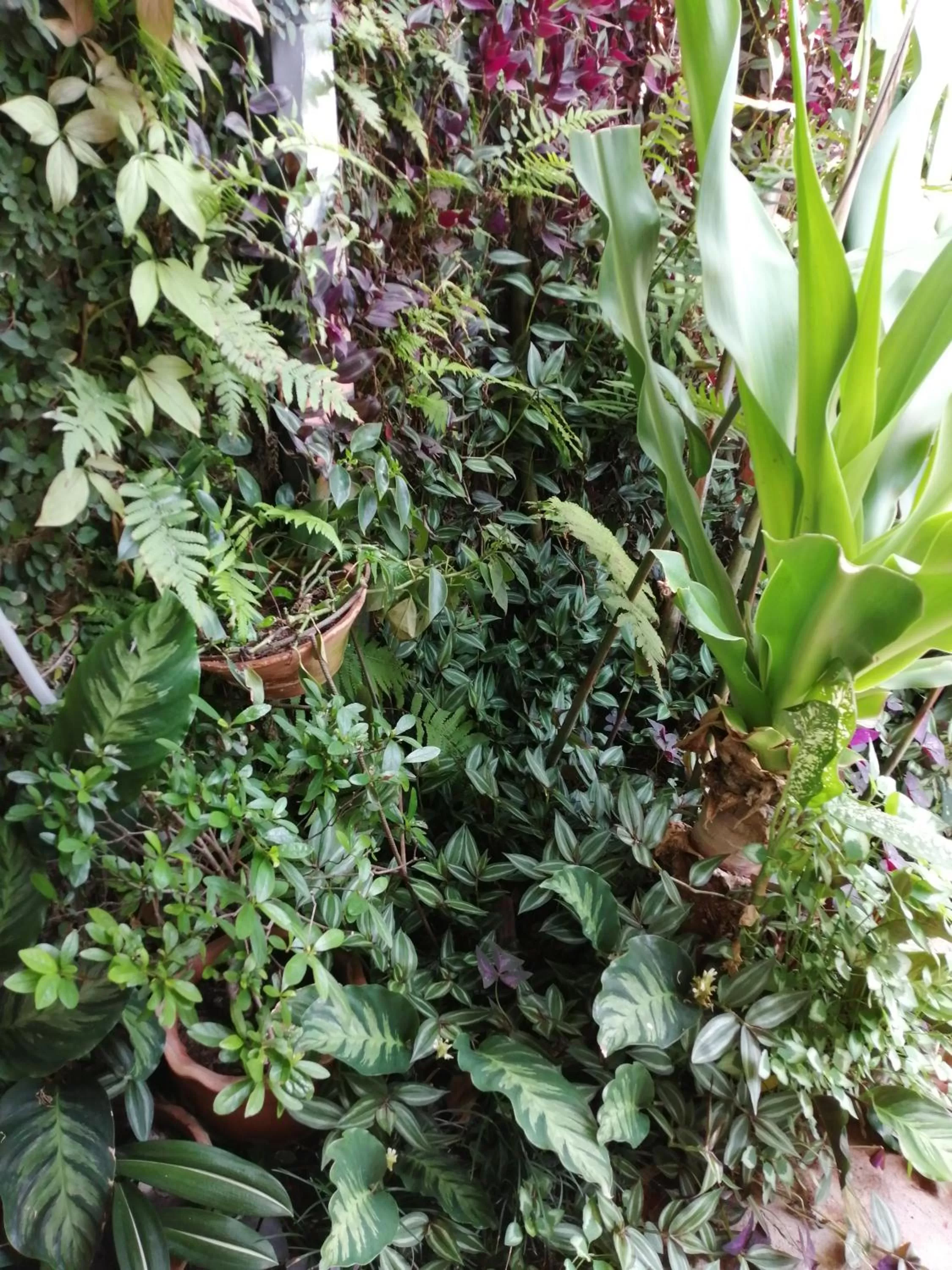 Garden in Granados B&B