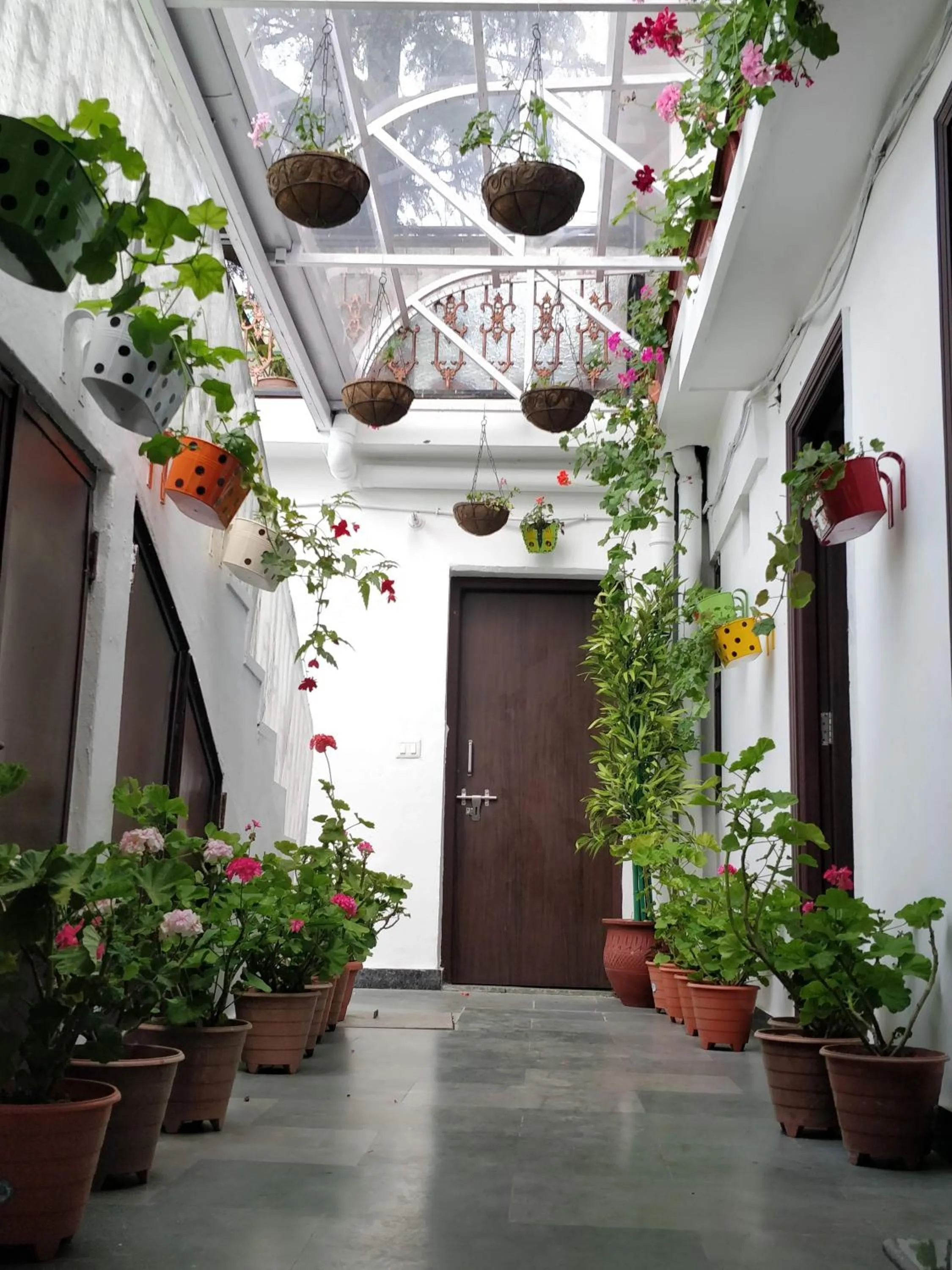 Patio in Hotel SunGrace