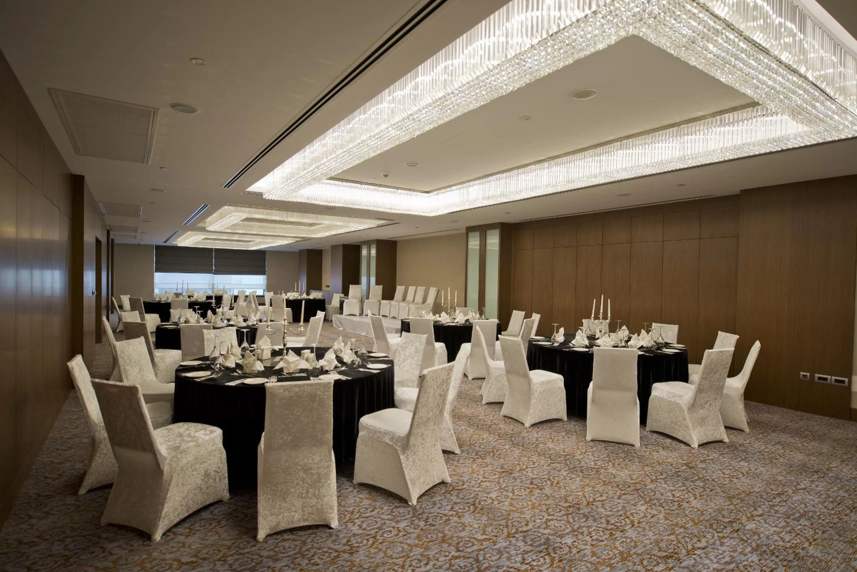 Business facilities in Radisson Blu Hotel, Kayseri