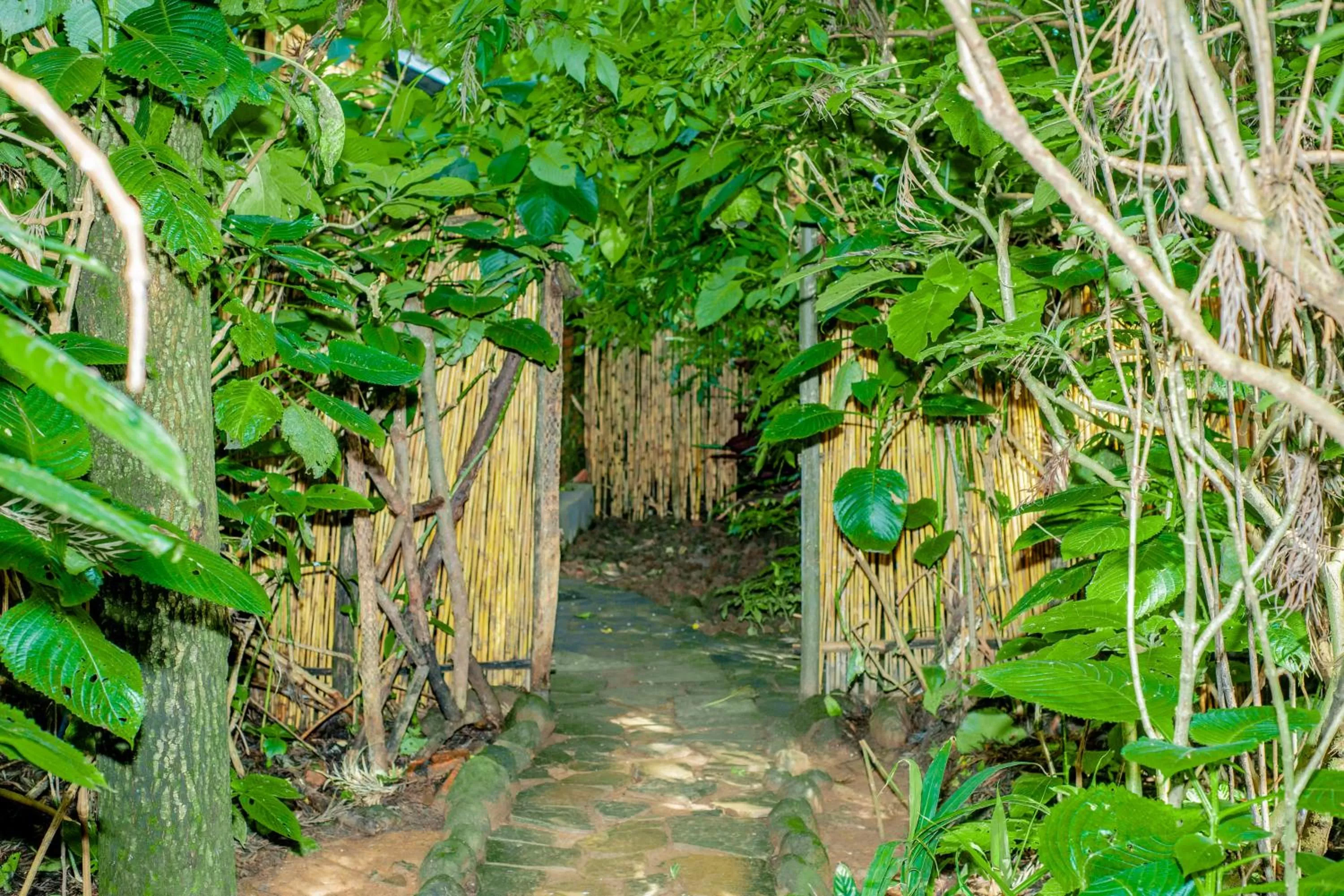 Garden in Fravan Eco Resort By Apogee