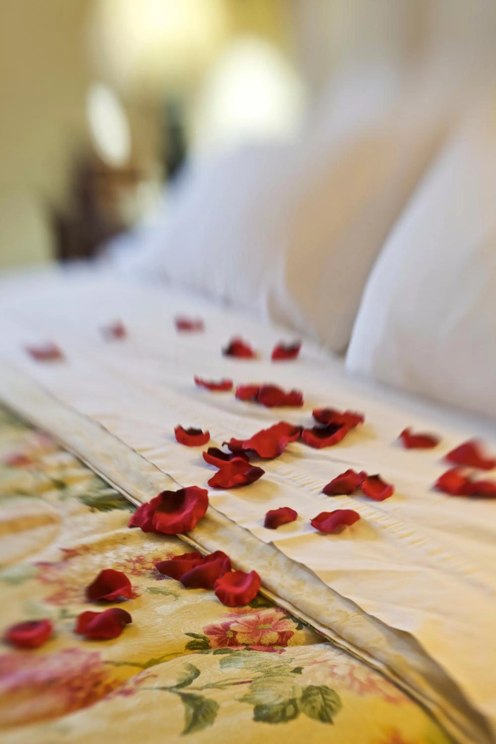 Bed in Inn & Spa at Cedar Falls