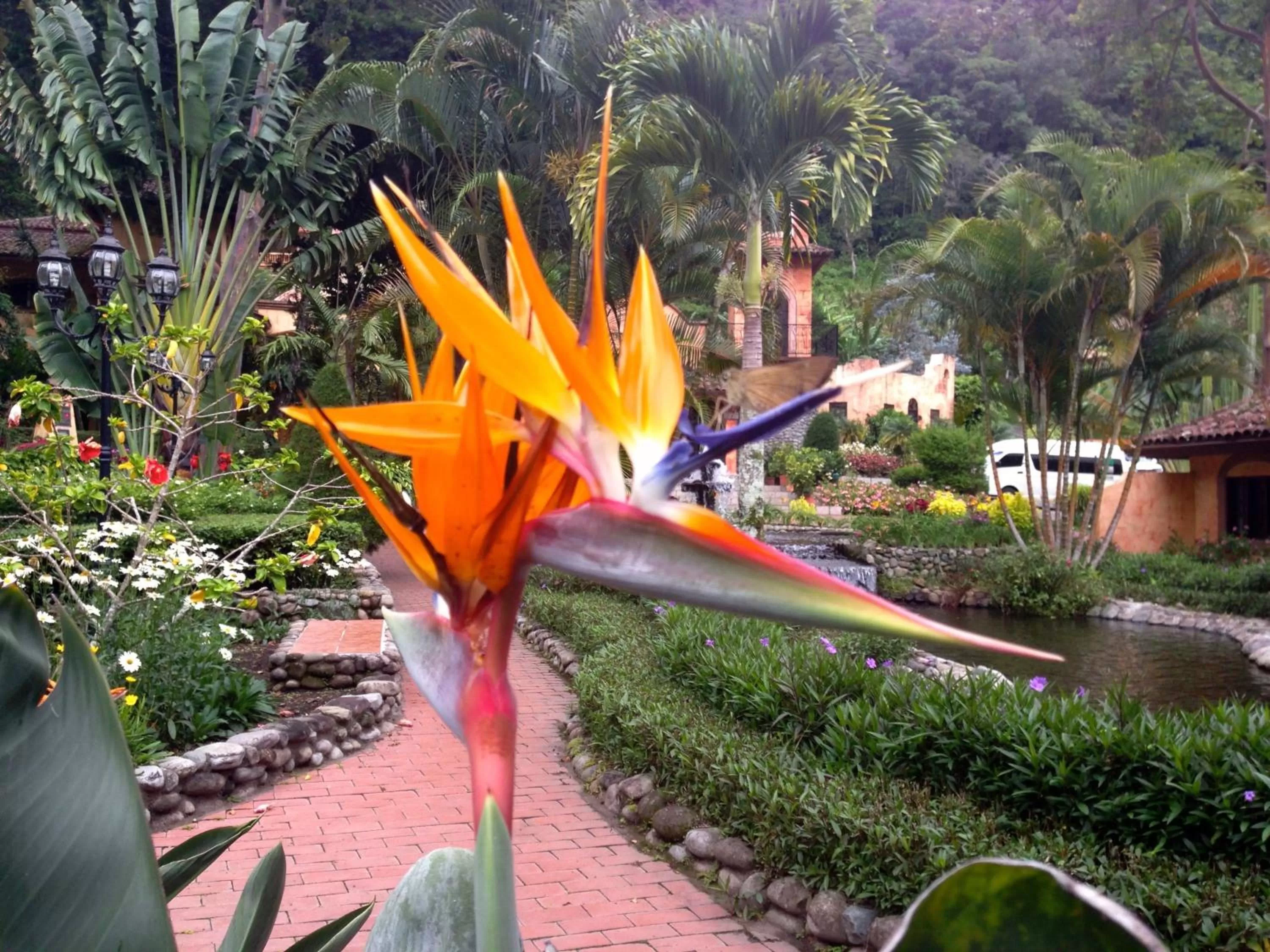 Garden in Valle Escondido Resort