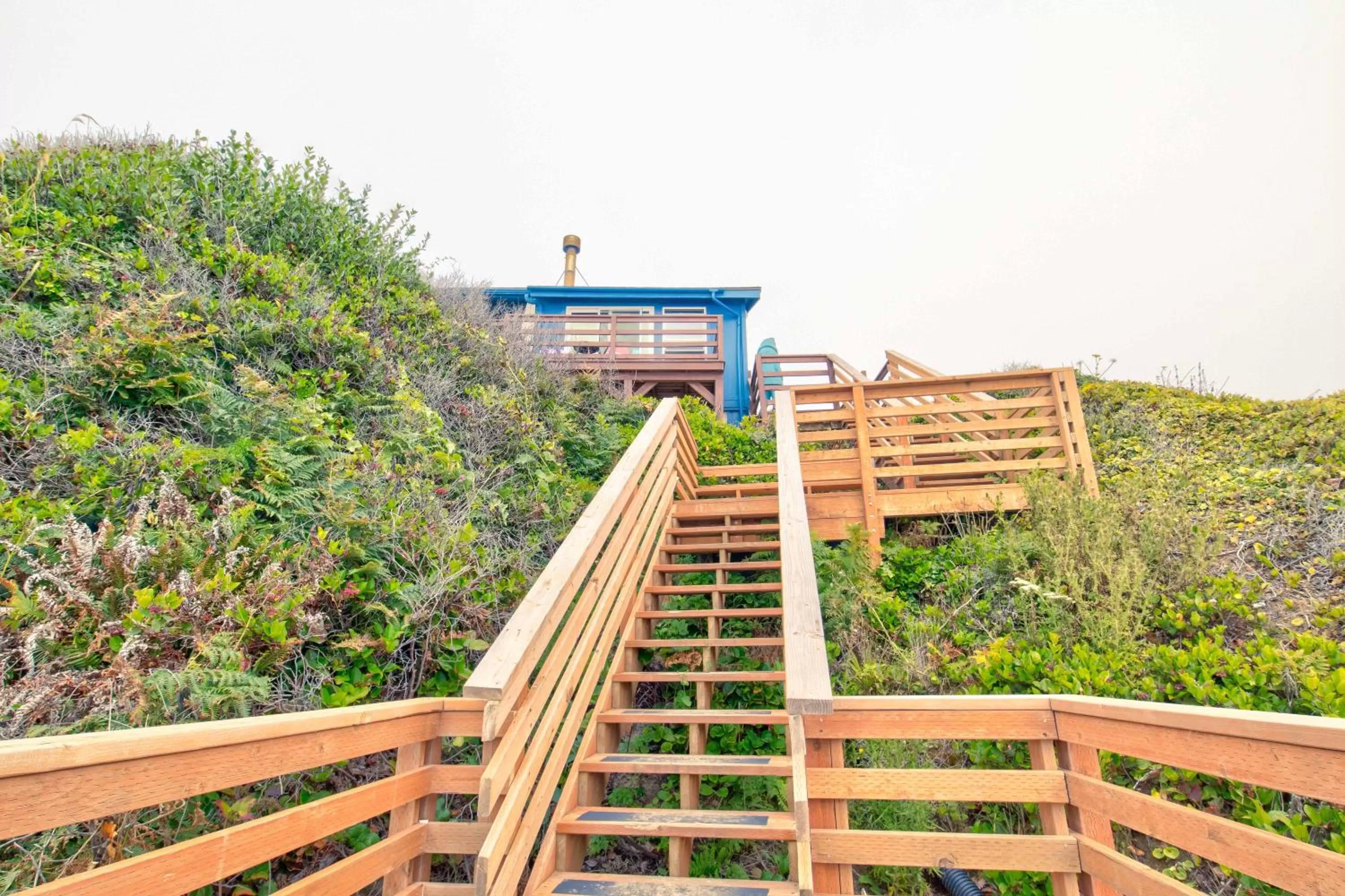 Natural landscape in Moolack Shores Inn