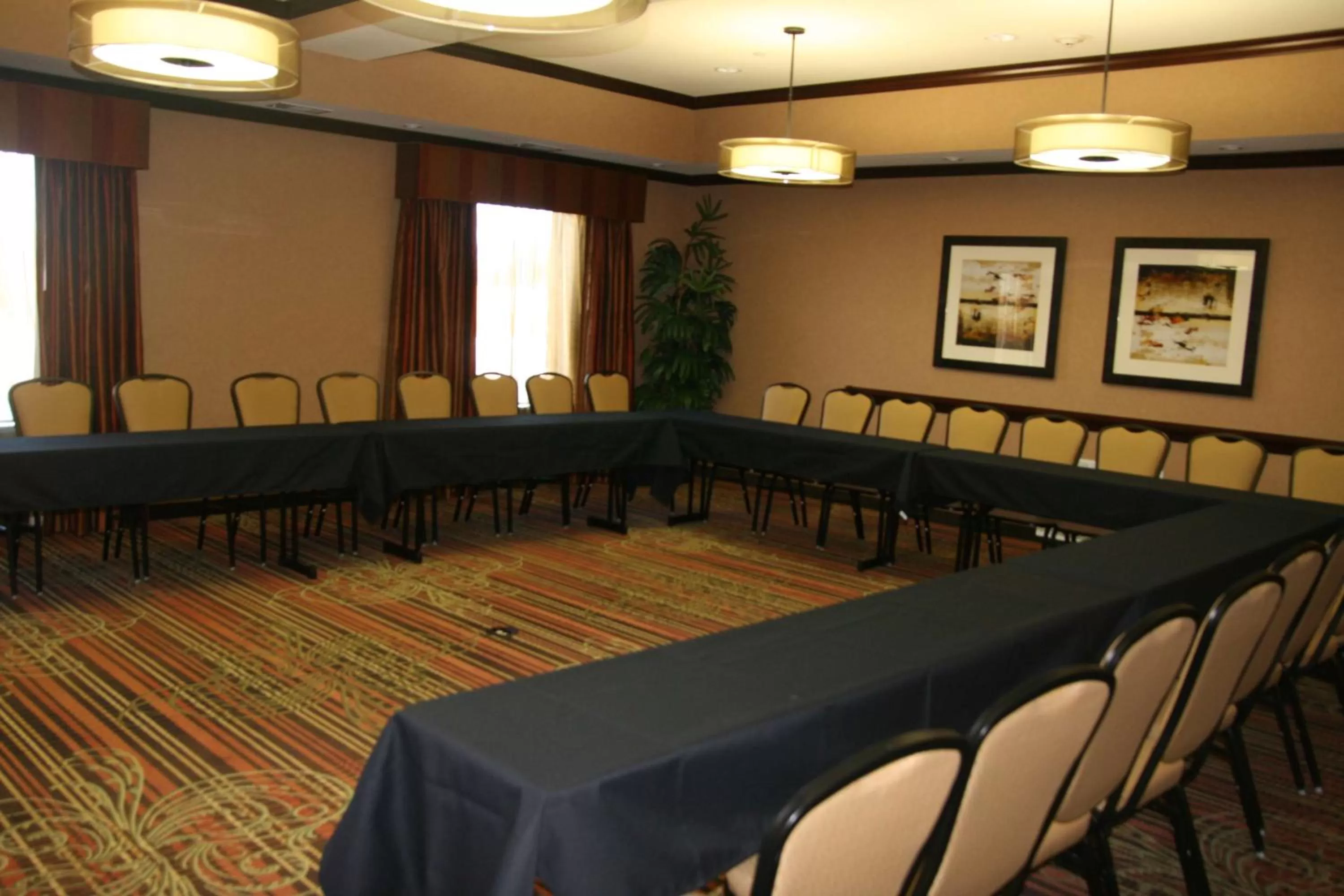 Meeting/conference room in Hampton Inn & Suites New Braunfels