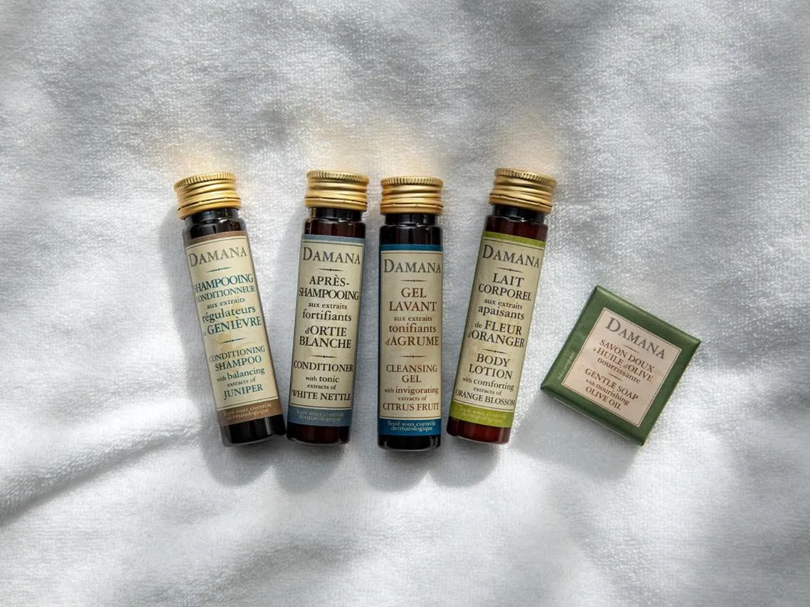 Shower in Hotel Alice and Trunk