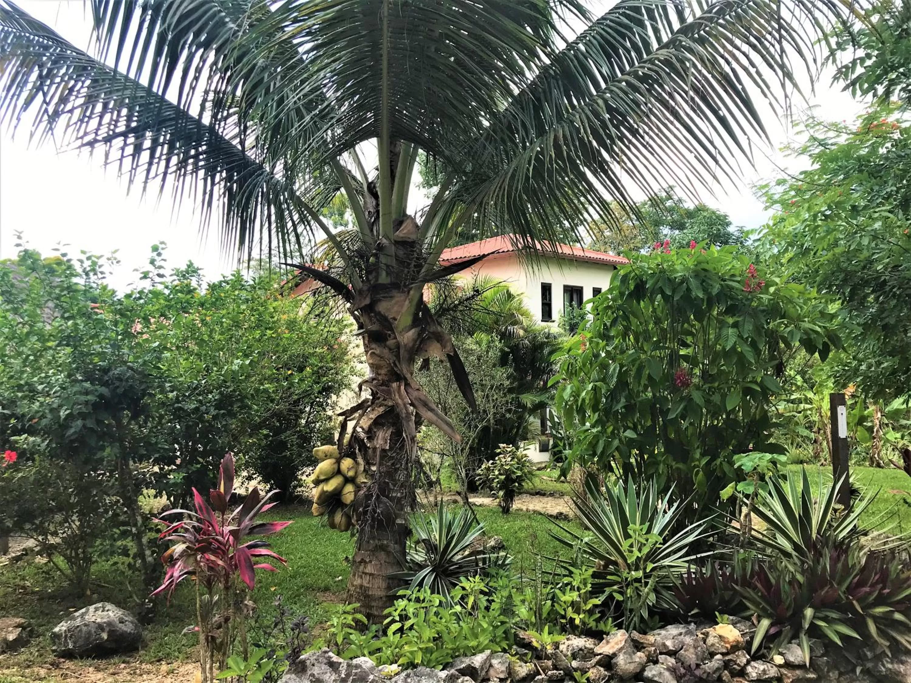 View (from property/room) in Sattva Land