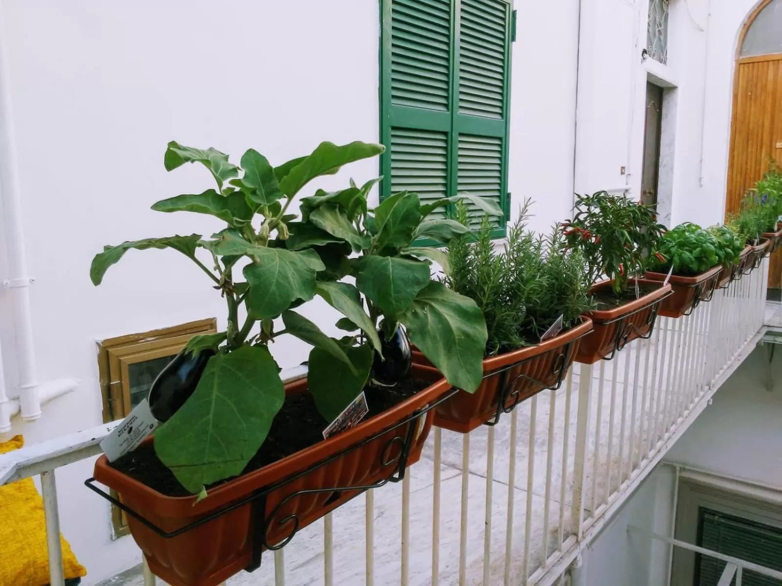 B&B Napoli Ruck&Maul