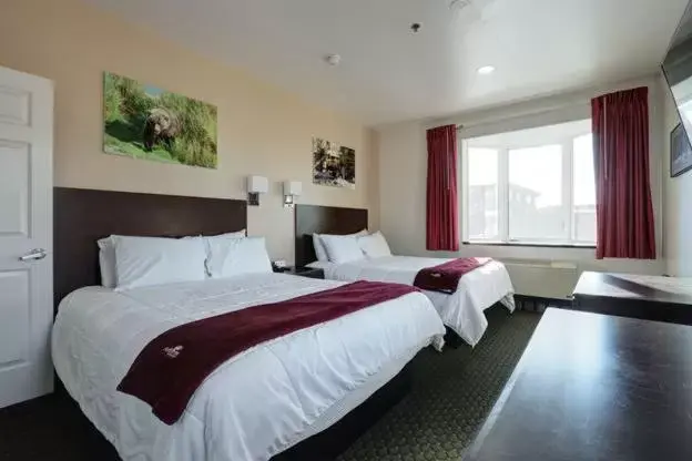 Puffin Inn Puffin Inn