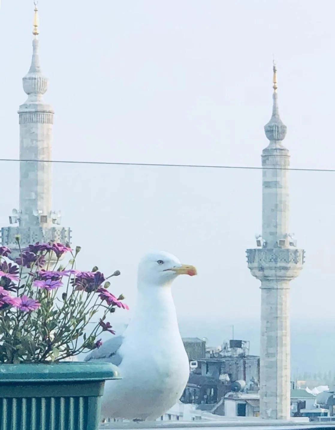 Other in Grand Washington Hotel