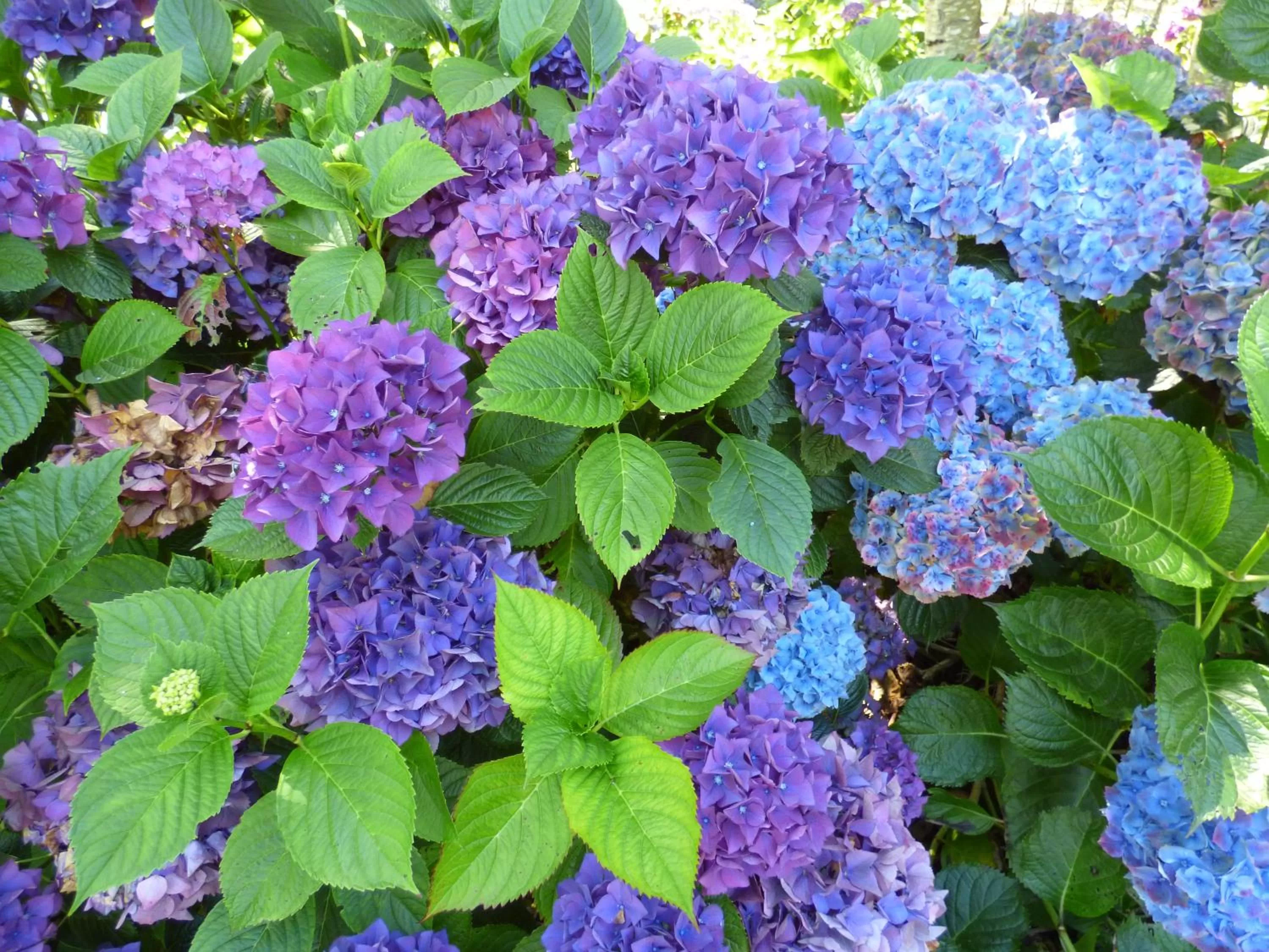Garden in Sheltered Nook On Tillamook Bay