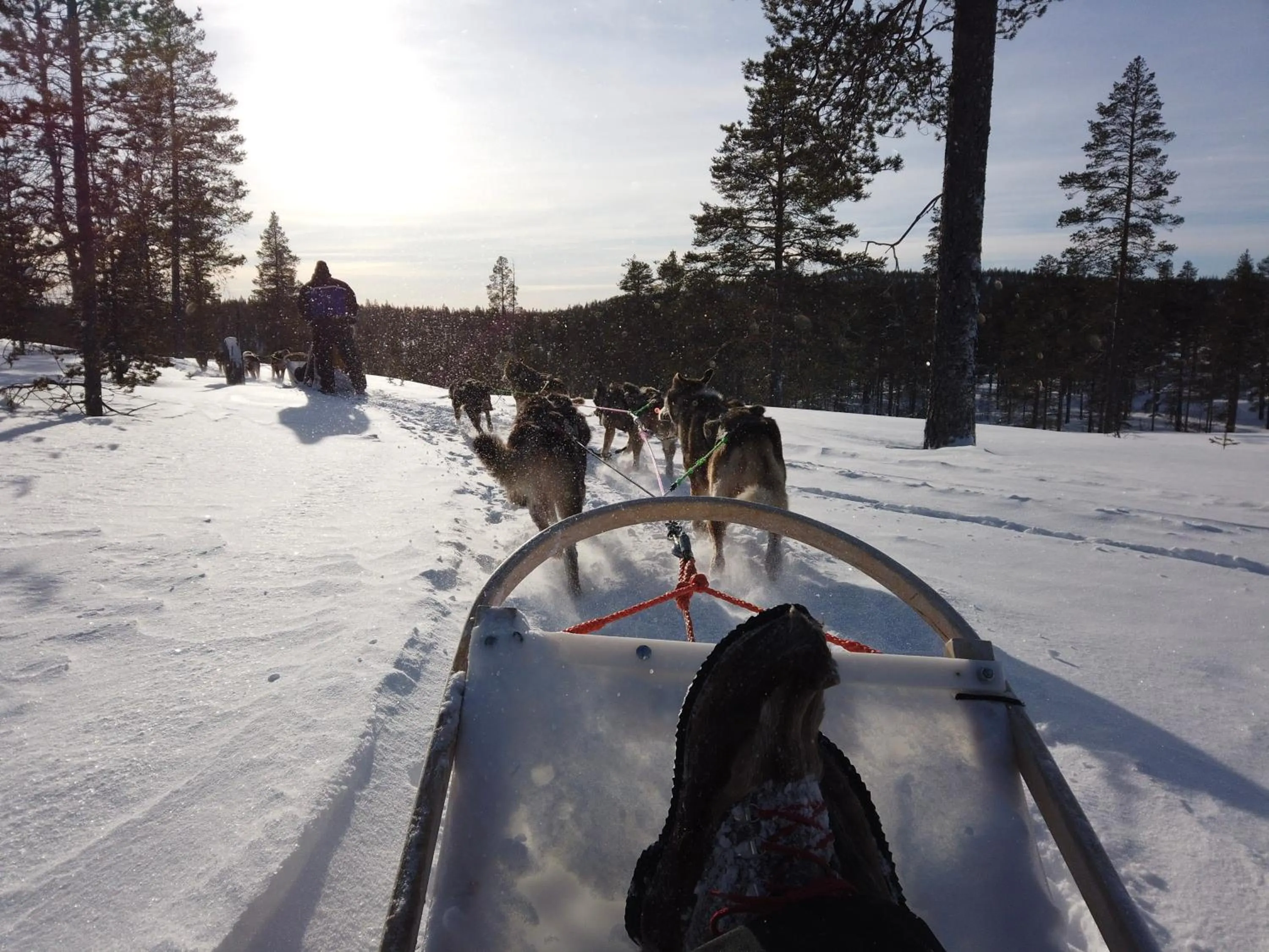 Natural landscape in Aurora Village Ivalo