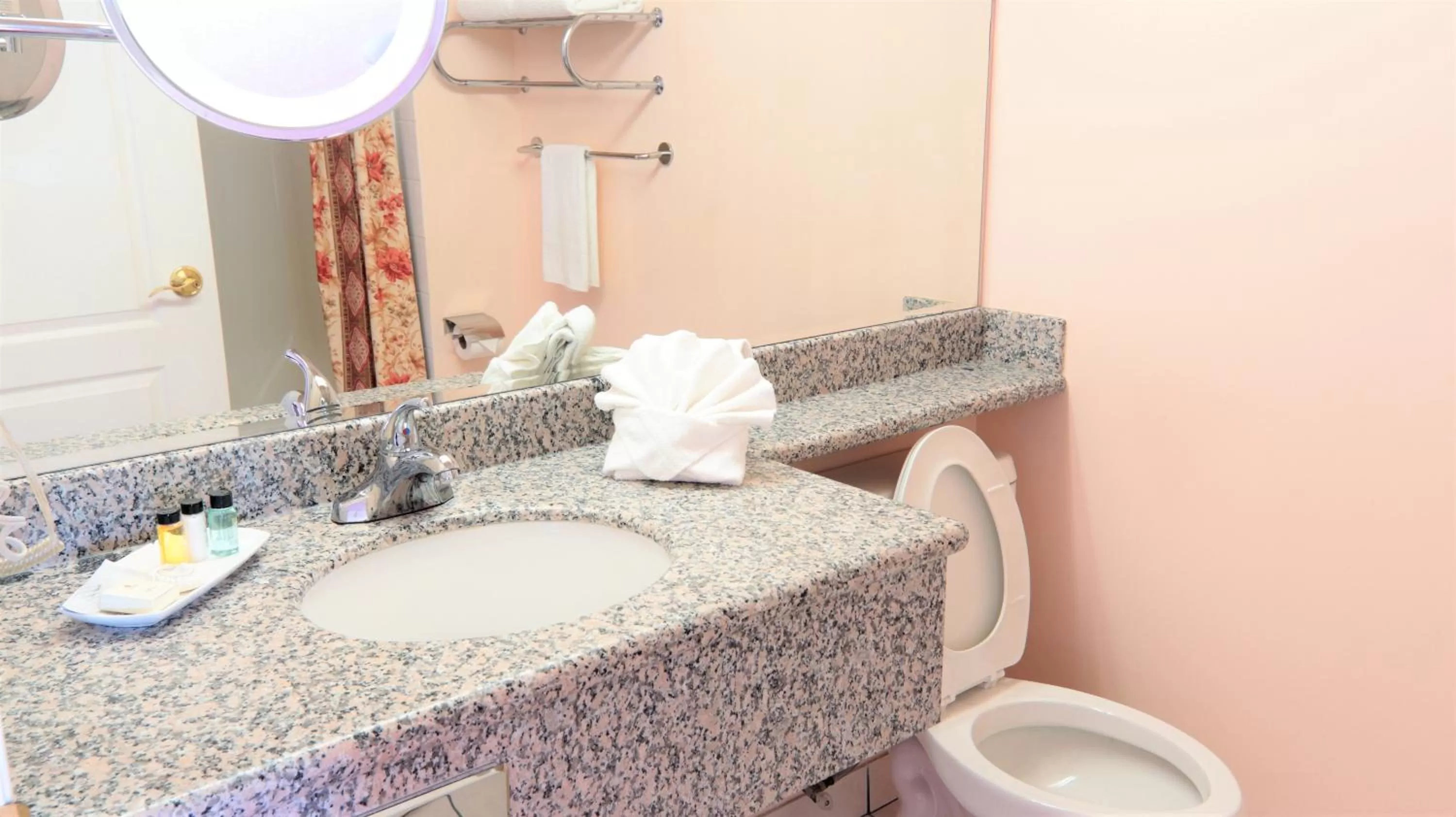 Bathroom in Crystal Star Inn Edmonton Airport with free shuttle to and from Airport