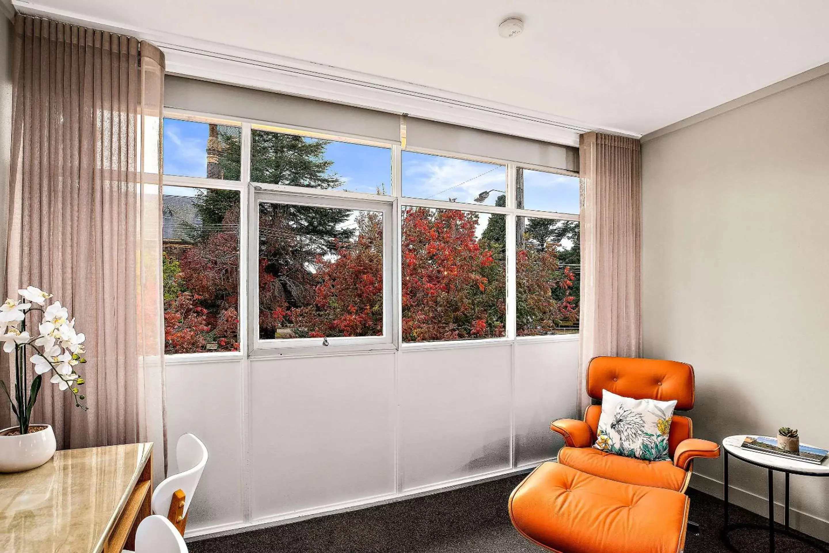 Superior King Room in City Centre Motel Armidale Superior King Room in City Centre Motel Armidale