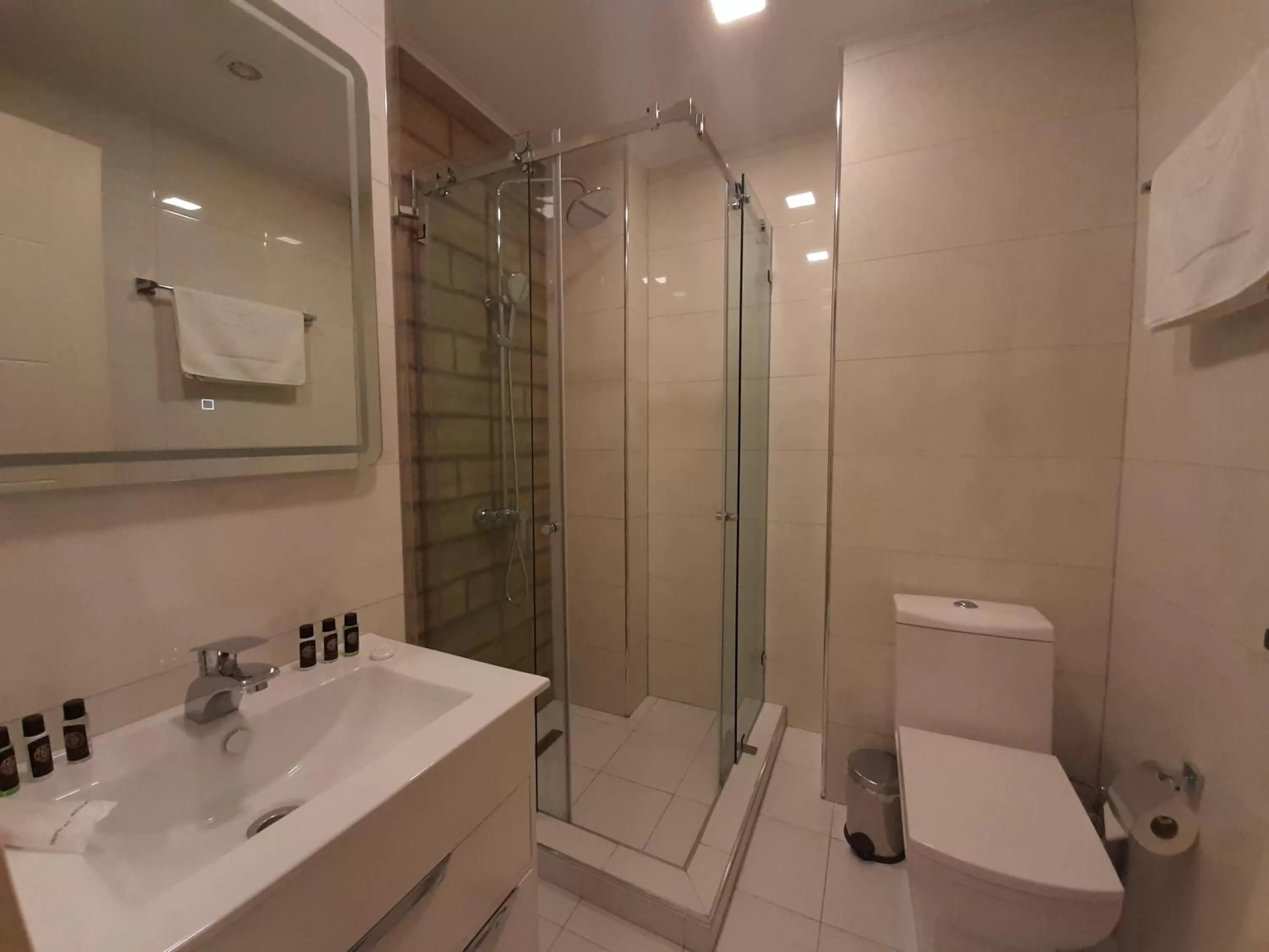 Shower, Bathroom in BG Palace Hotel