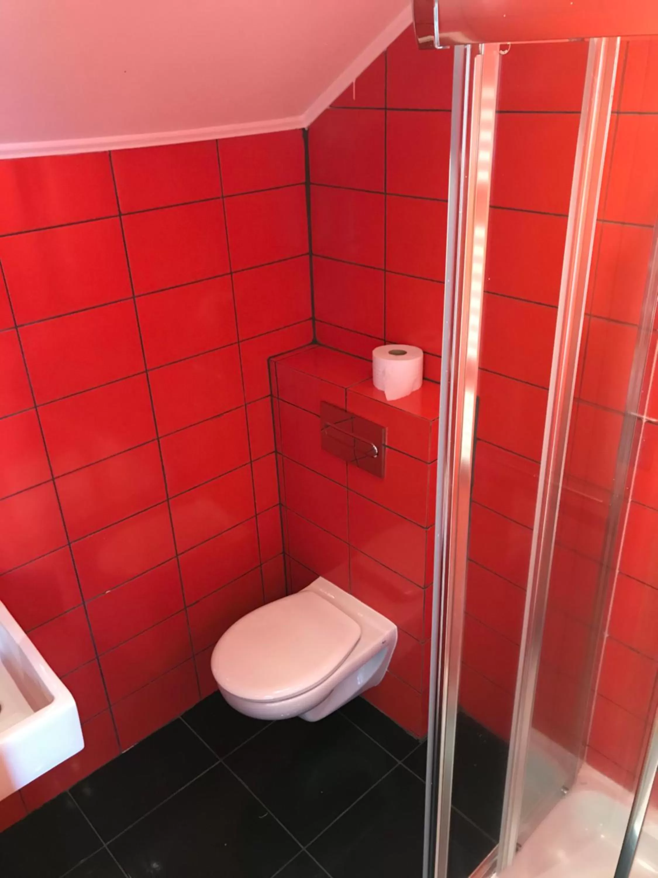 Shower, Bathroom in French Andes Apart Hostel