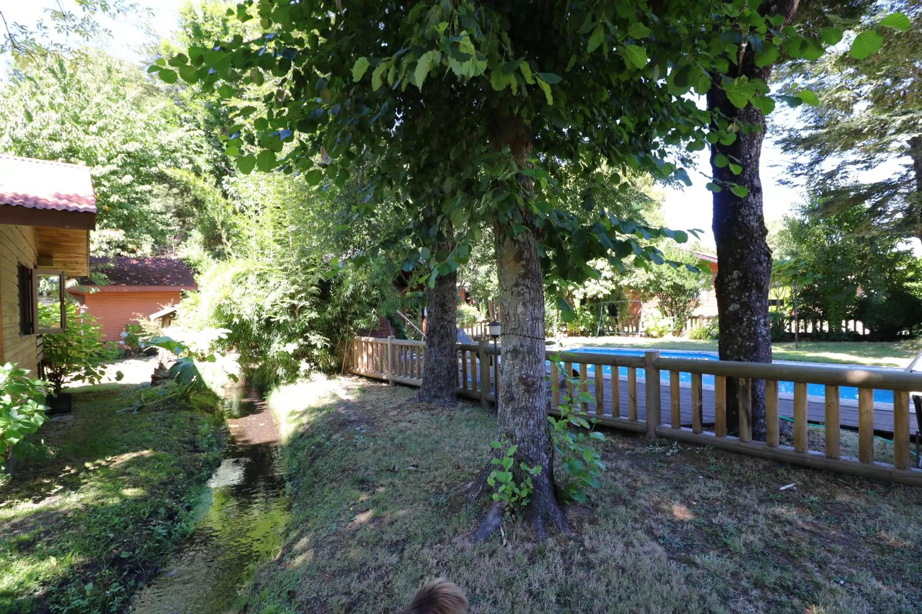 Garden in Santa Maria Pucon