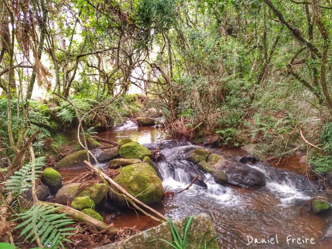 Natural Landscape in MD Luar da Montanha