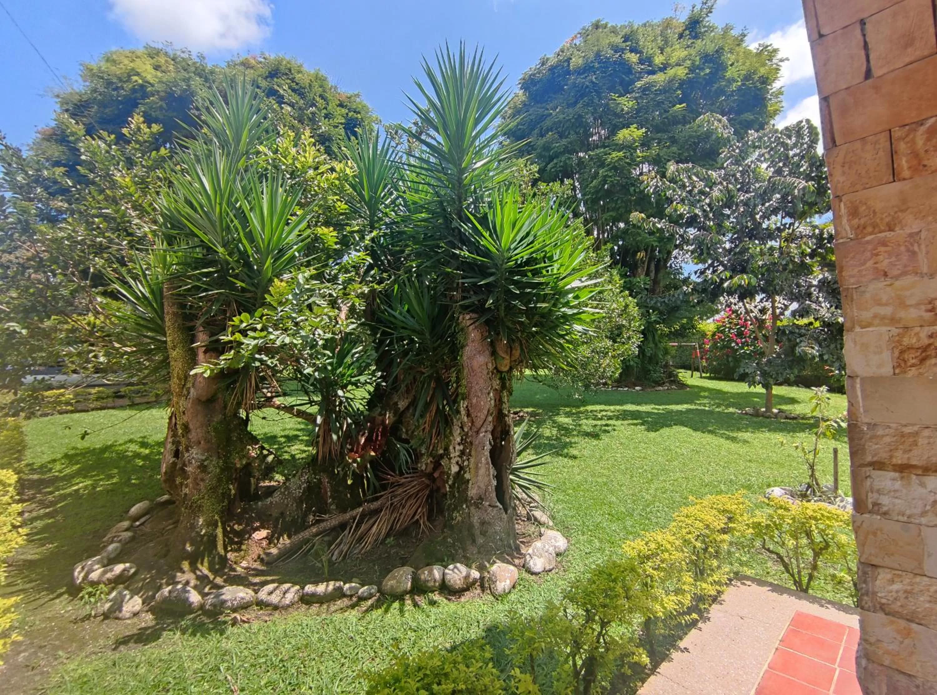 Garden in Hotel Chalet El Castillo by Majuva